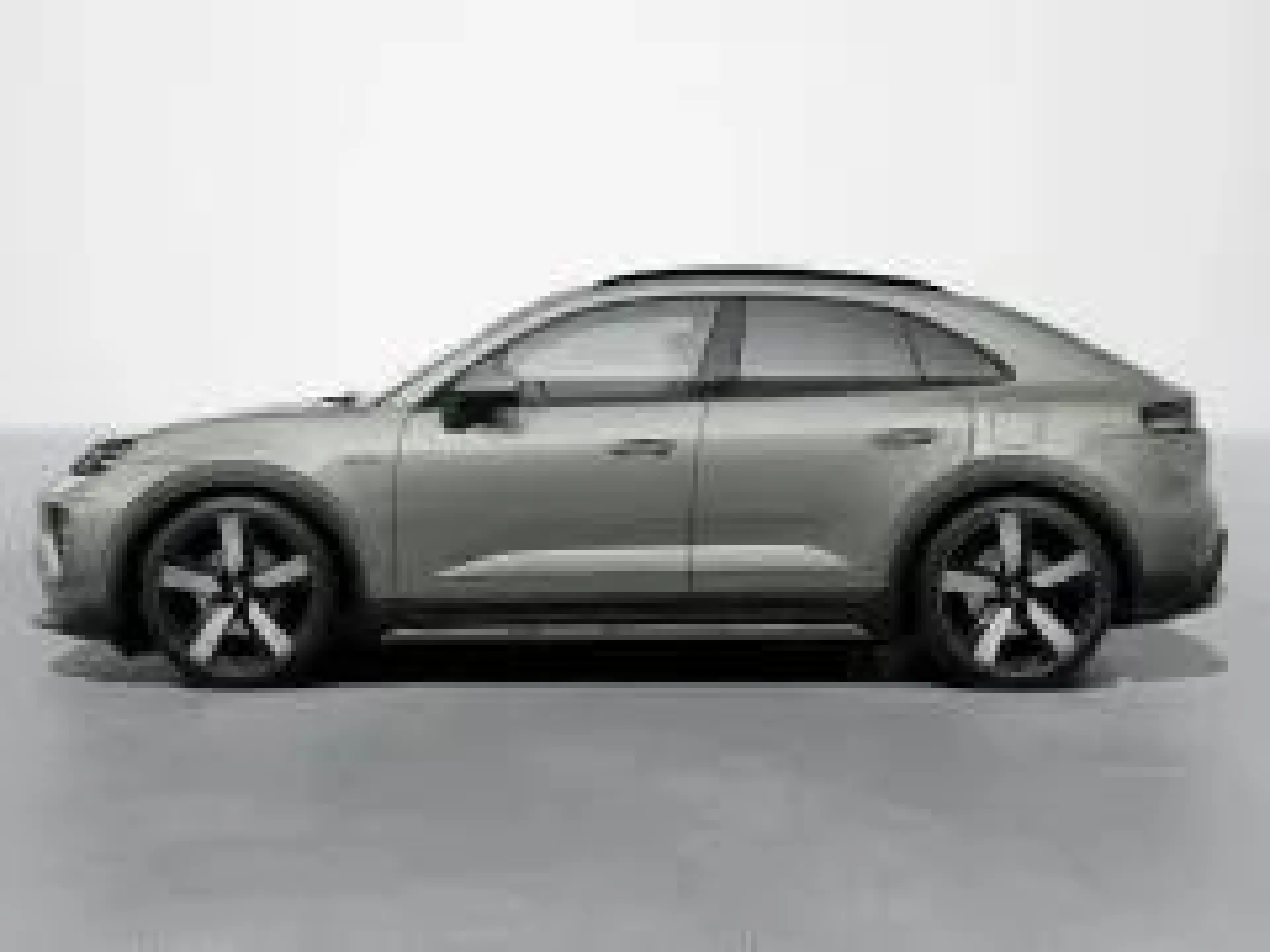 Macan 