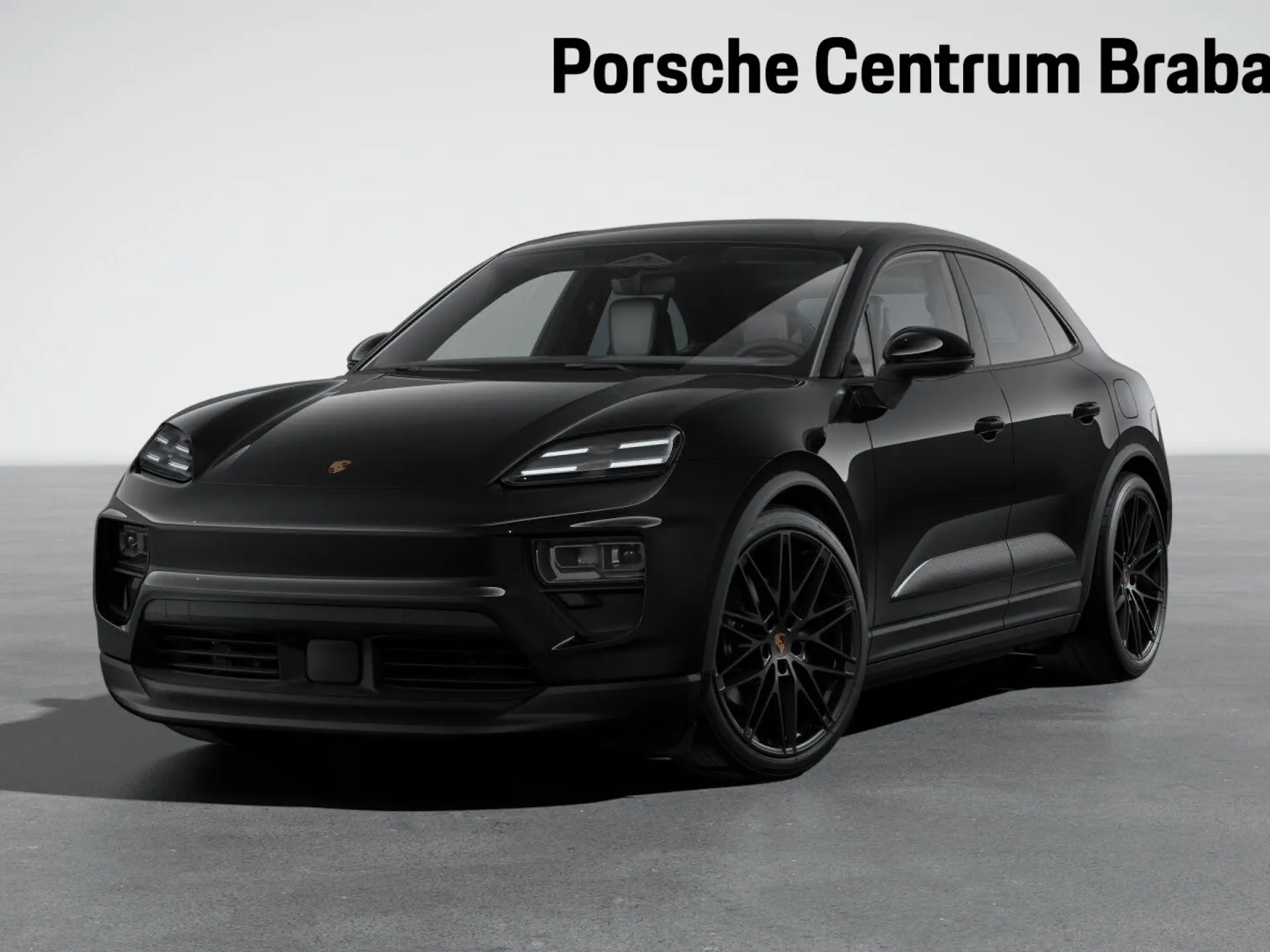 Macan 