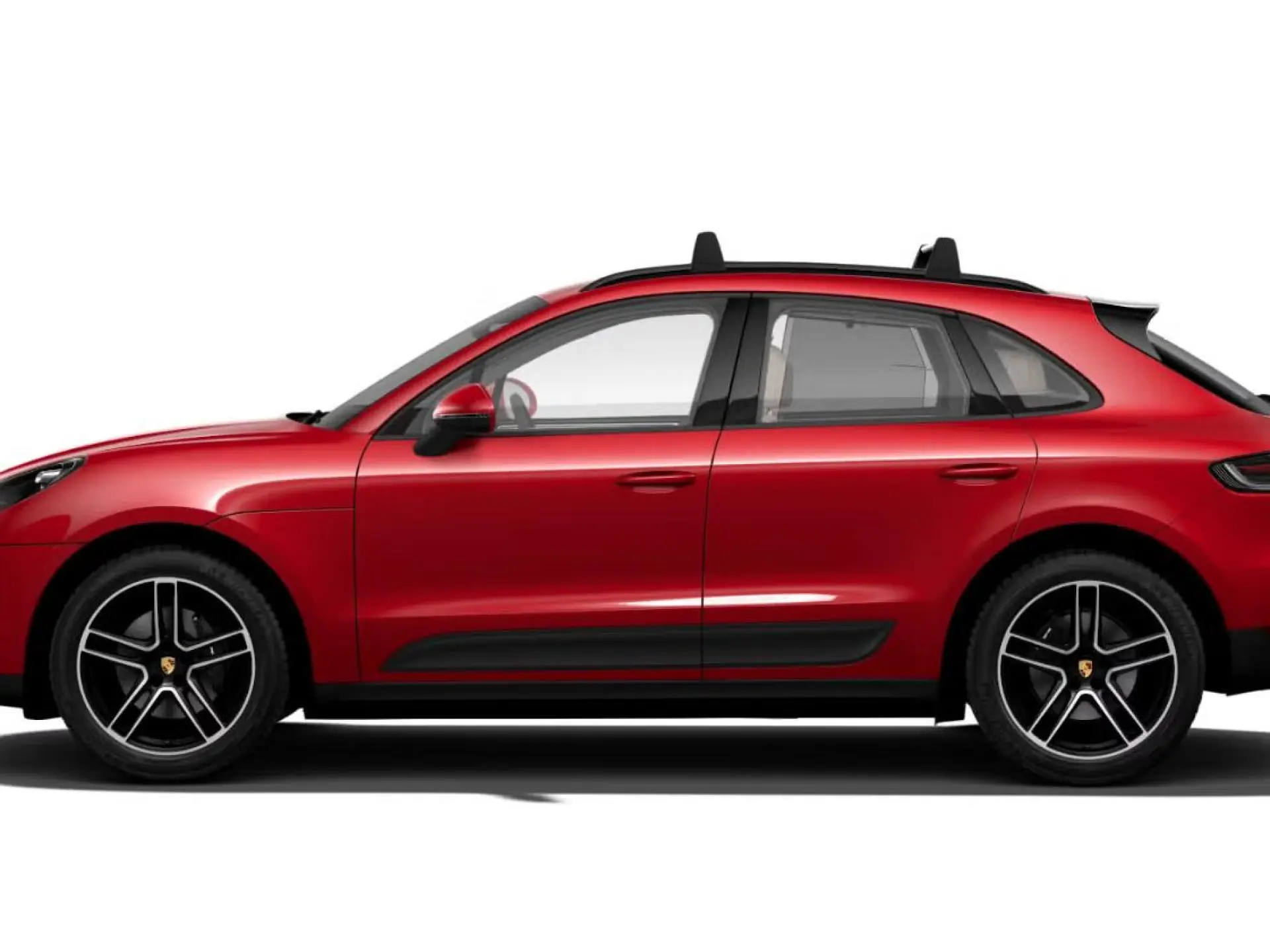 Macan 