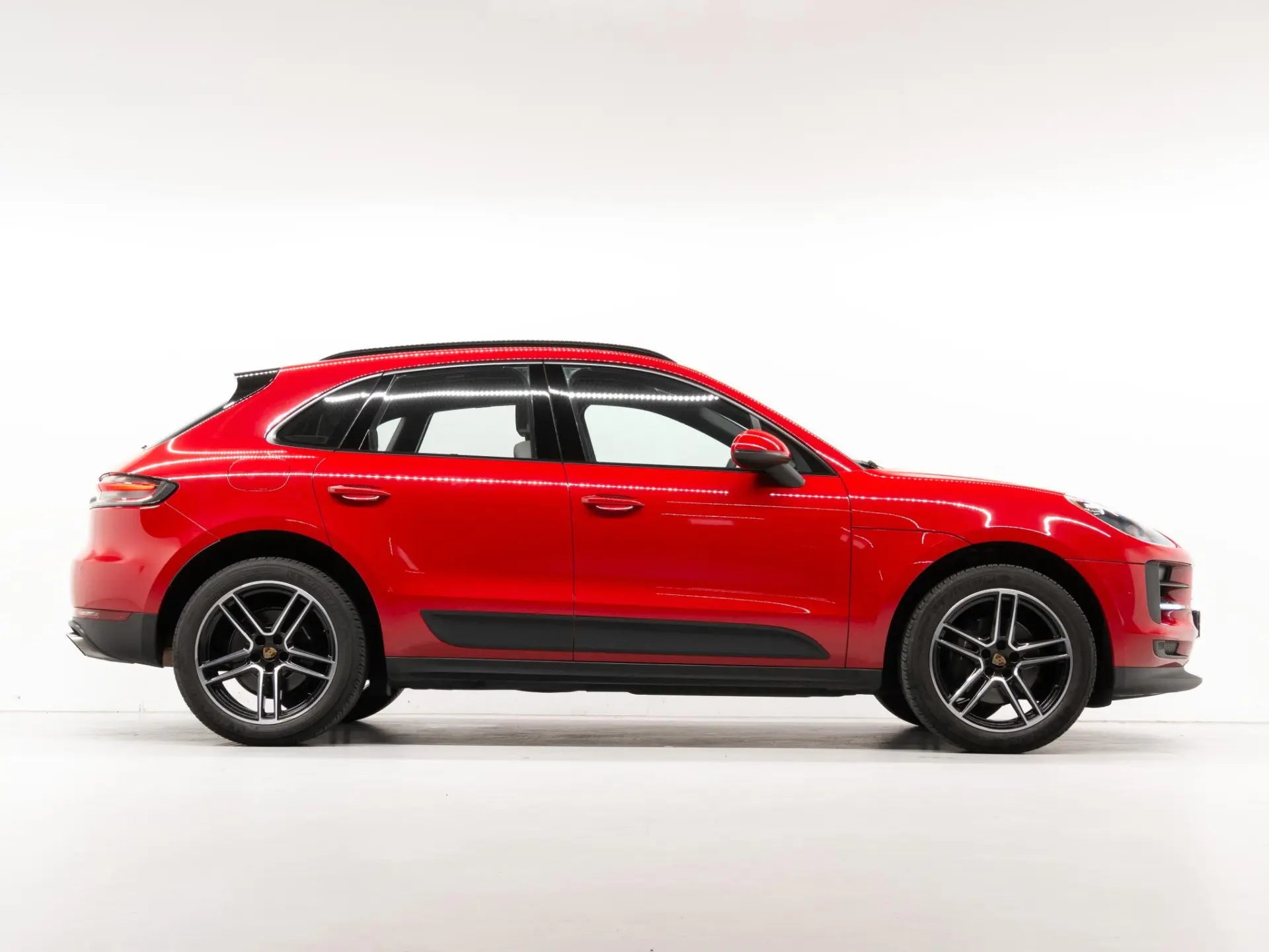 Macan 