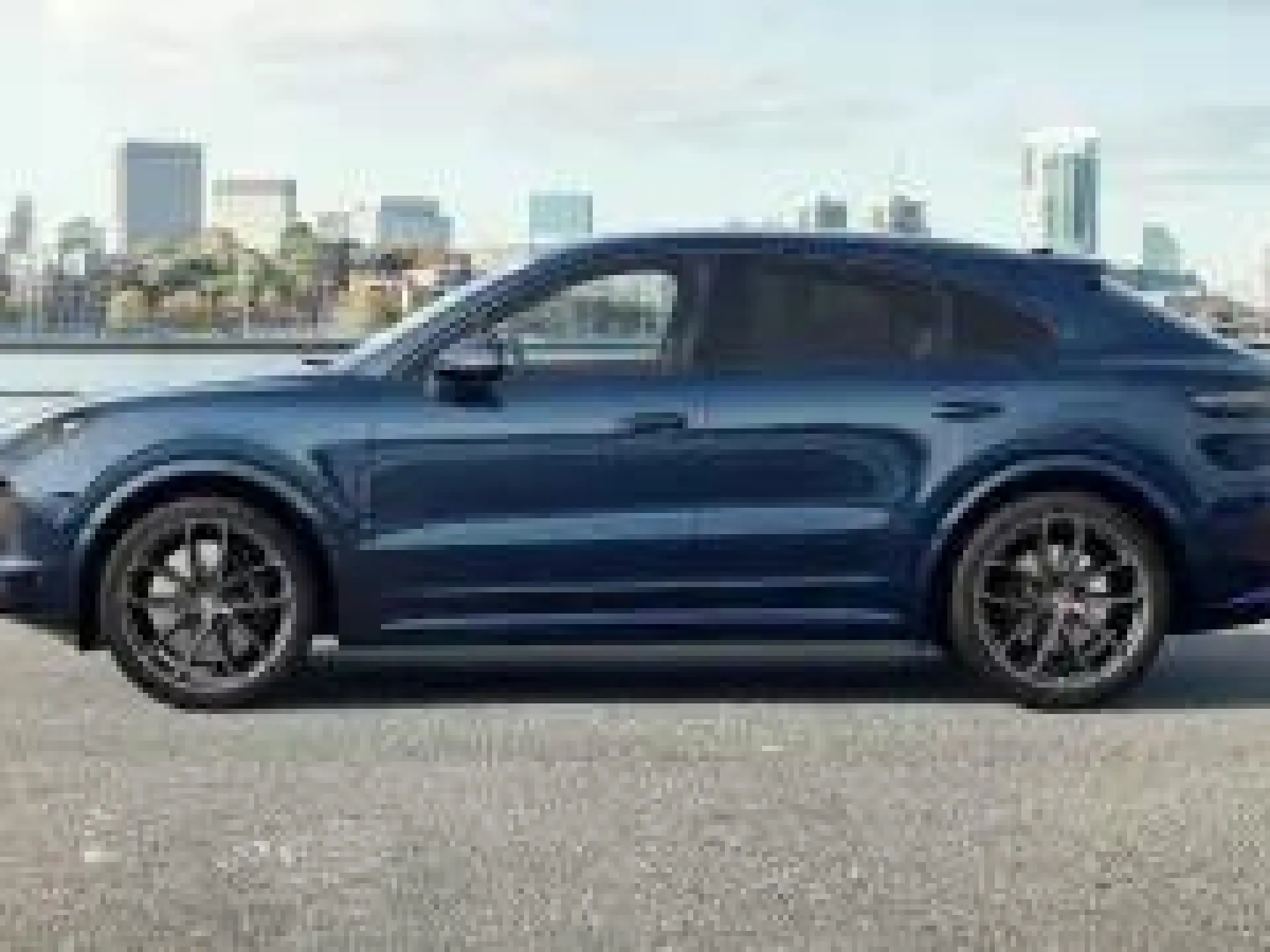 Cayenne E-Hybrid Coupé Platinum Edition