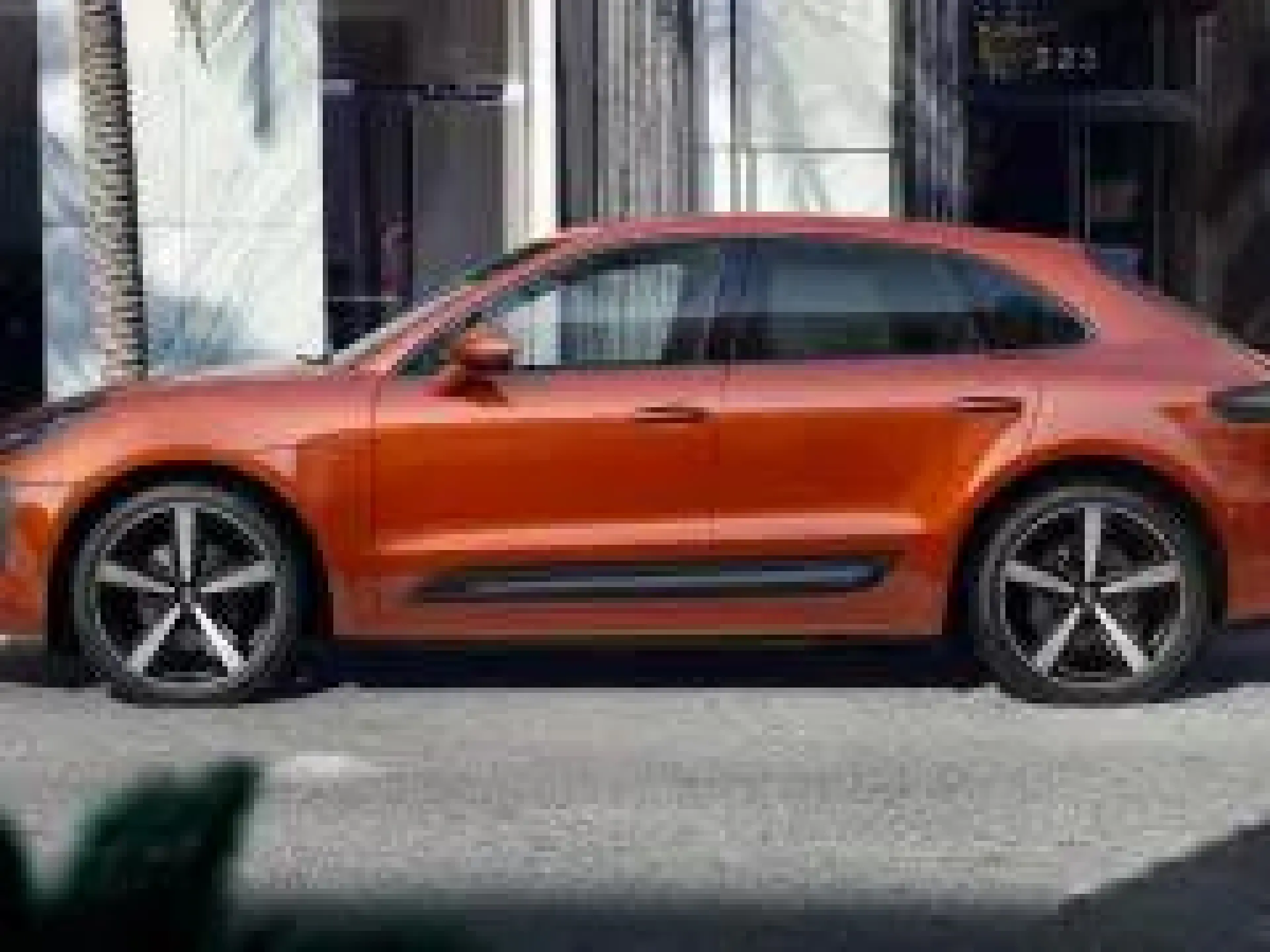 Macan 