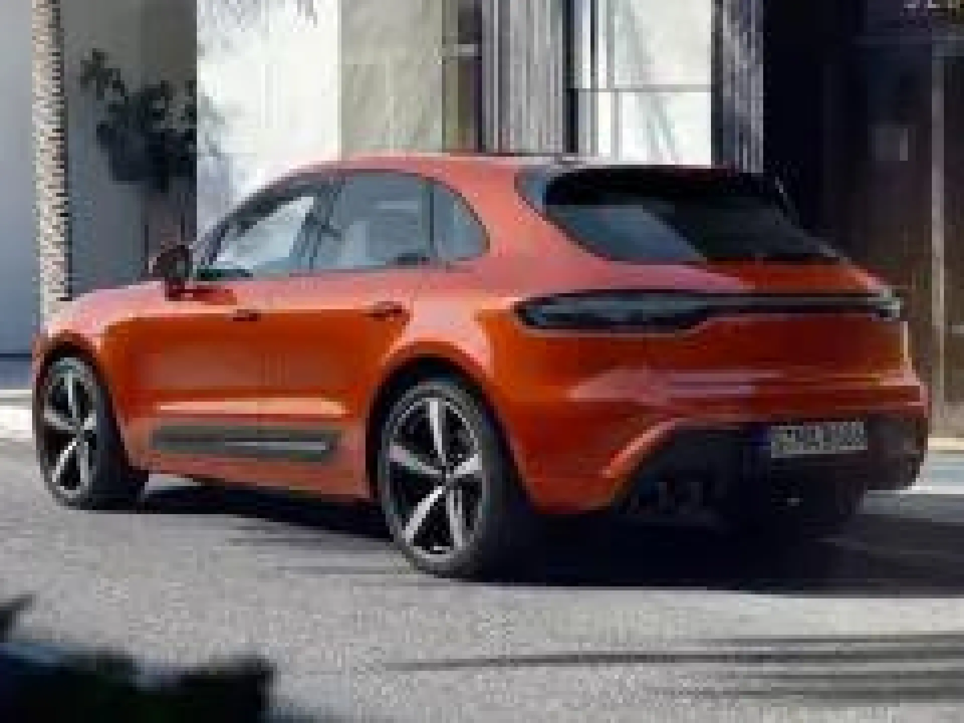 Macan 