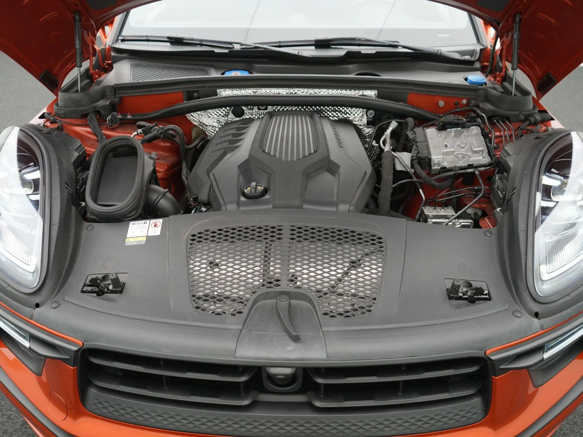Macan 