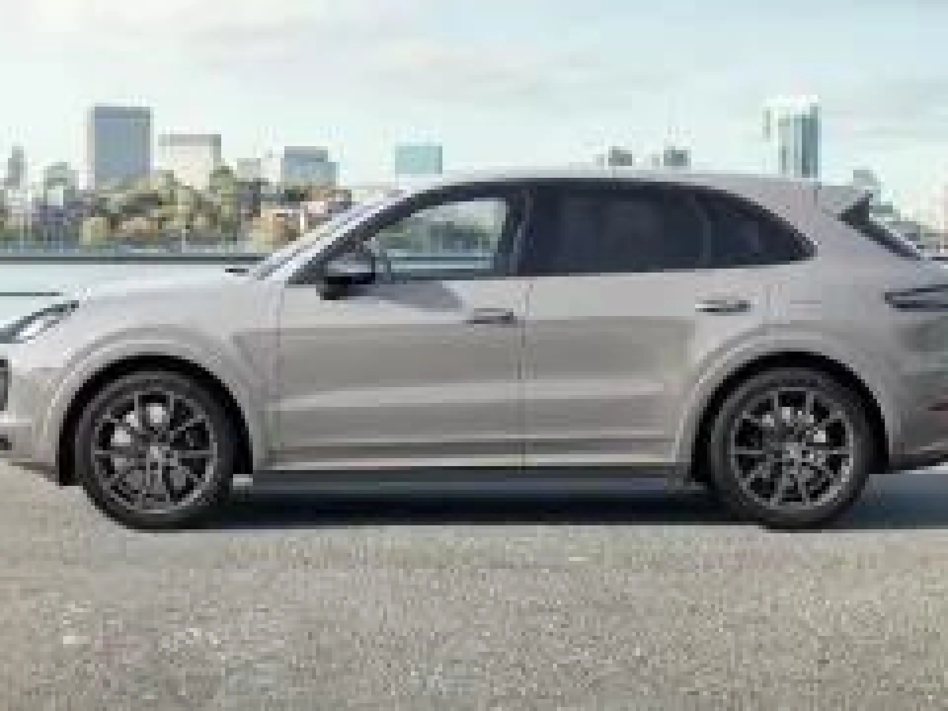 Cayenne E-Hybrid Platinum Edition