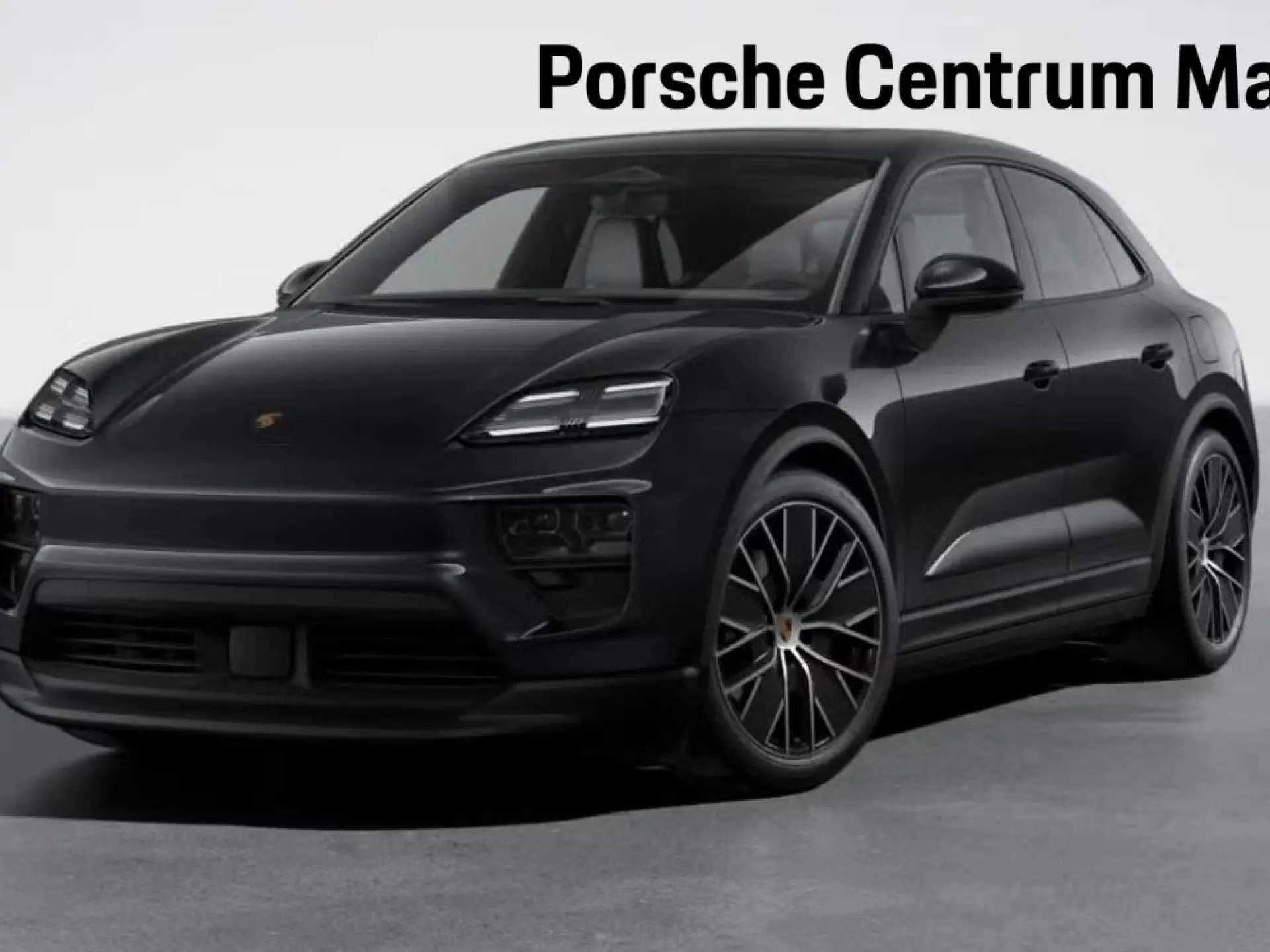 Macan 