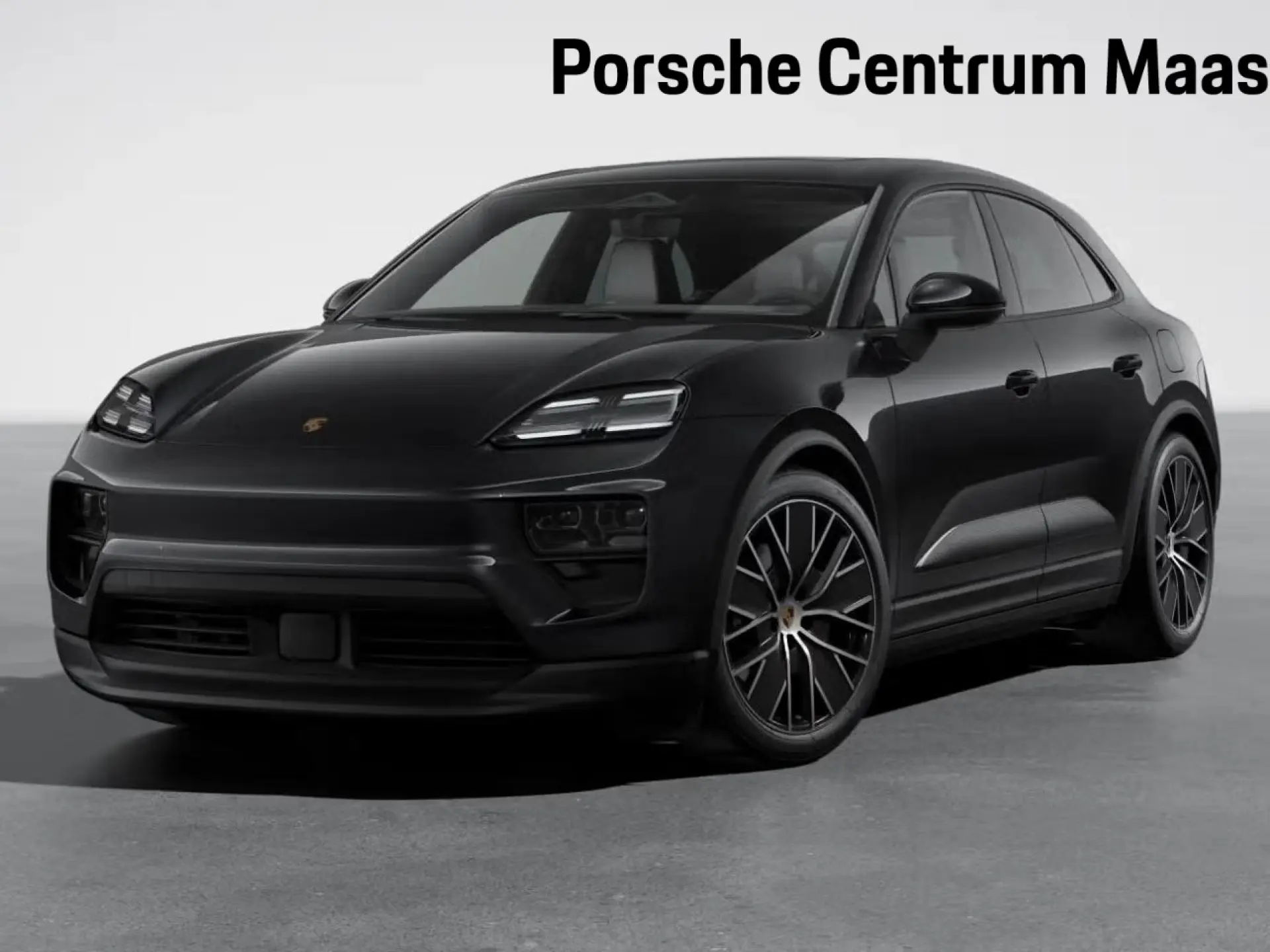 Macan 