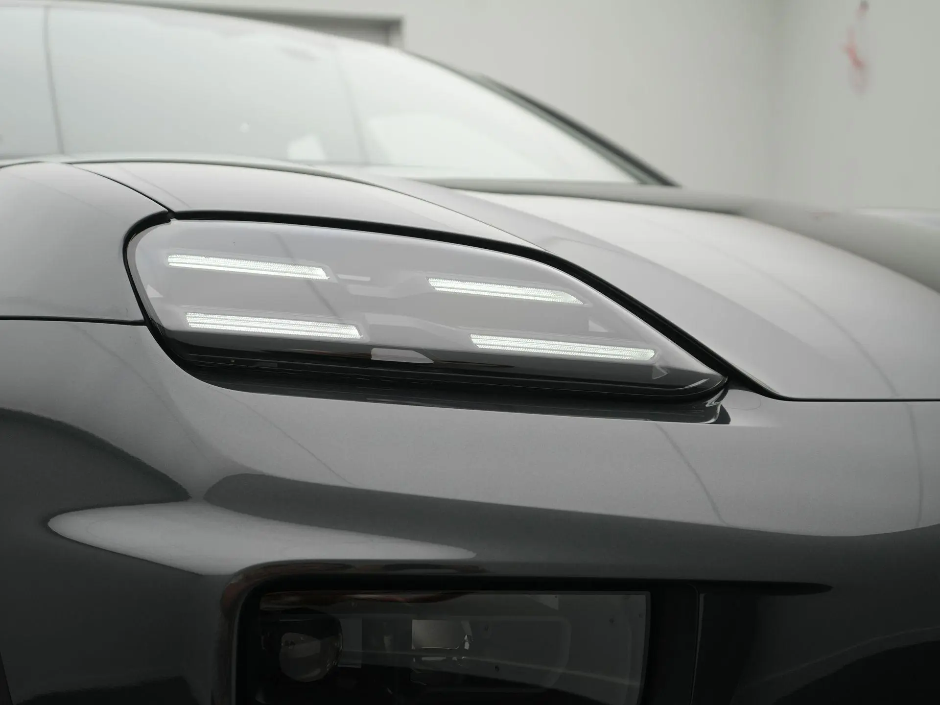 Macan 
