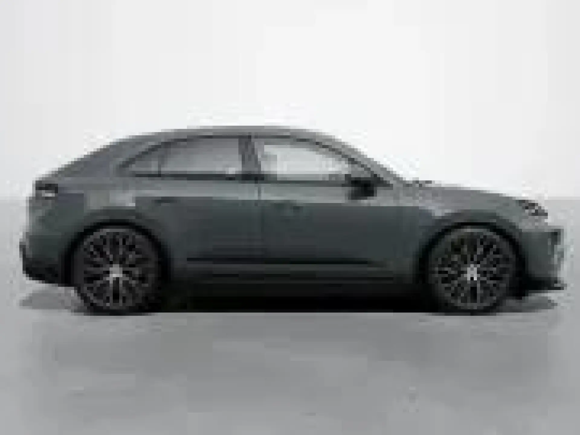 Macan 