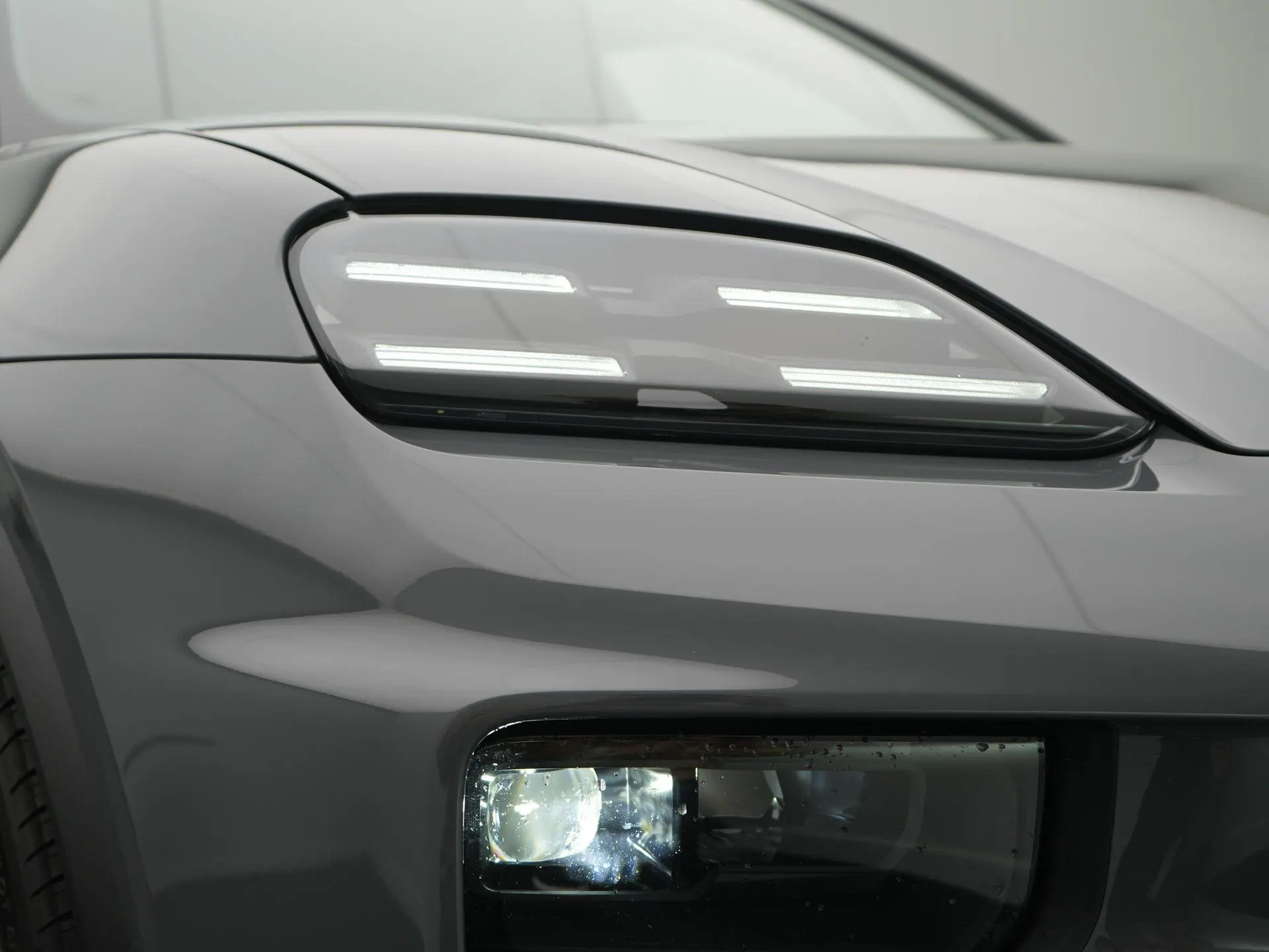 Macan 