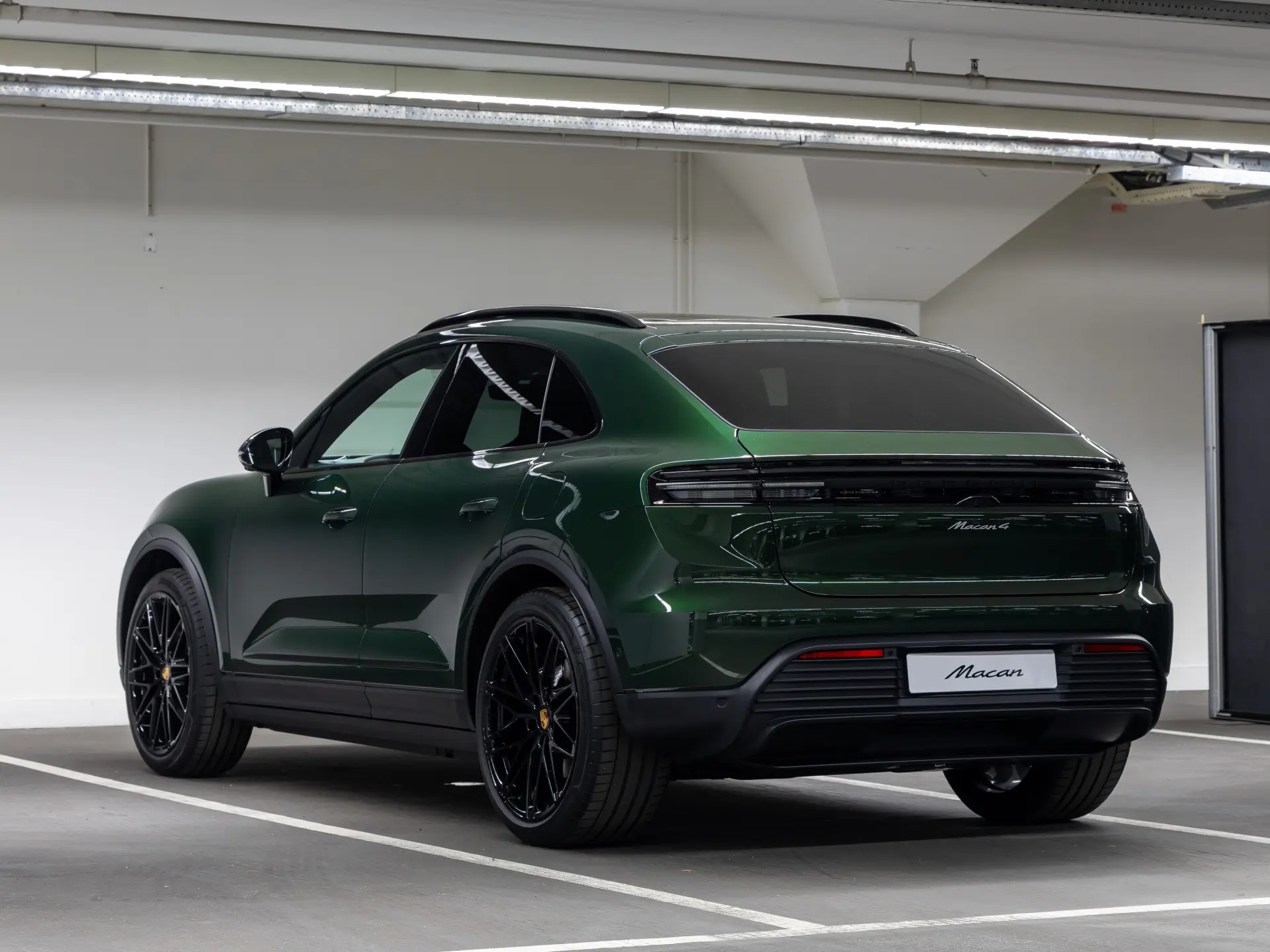 Macan 4