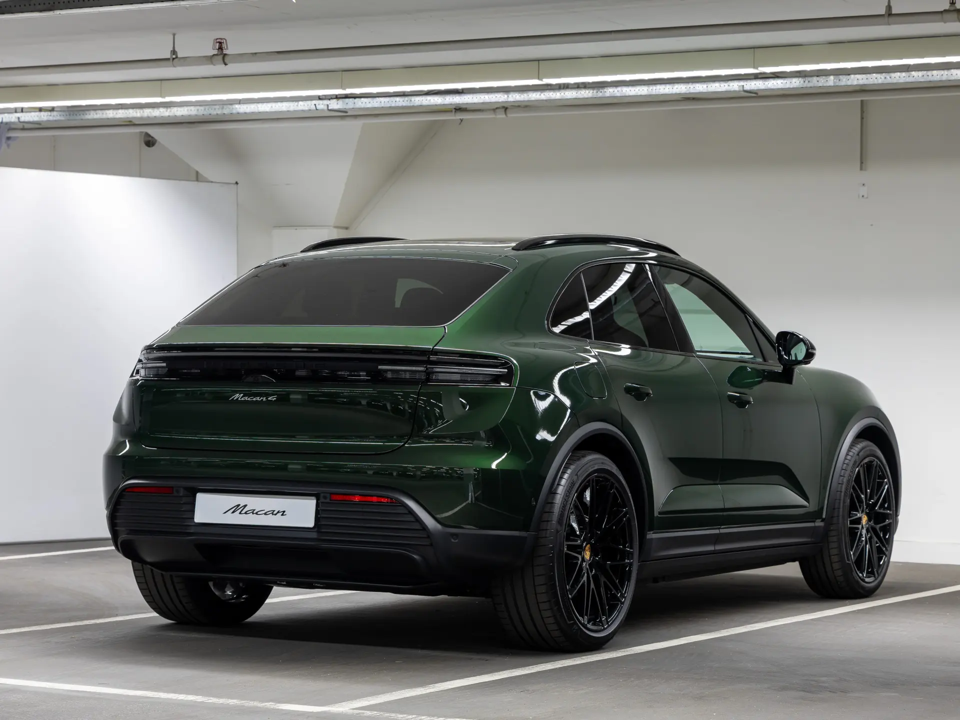 Macan 4