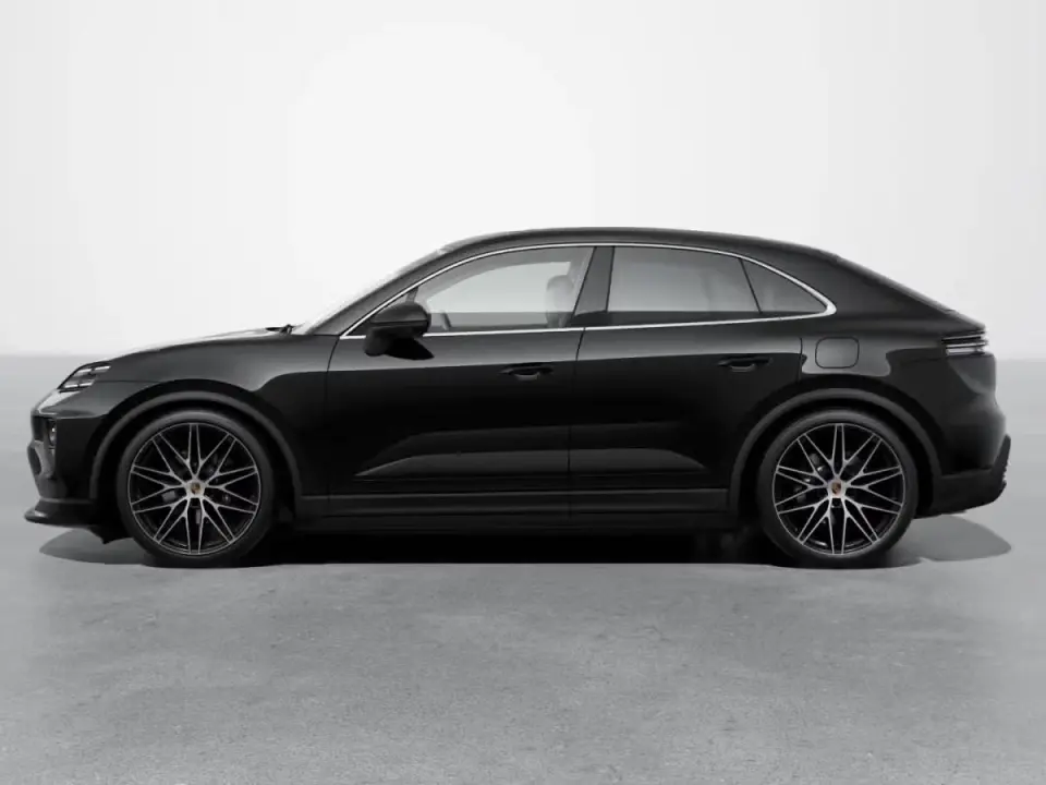 Macan