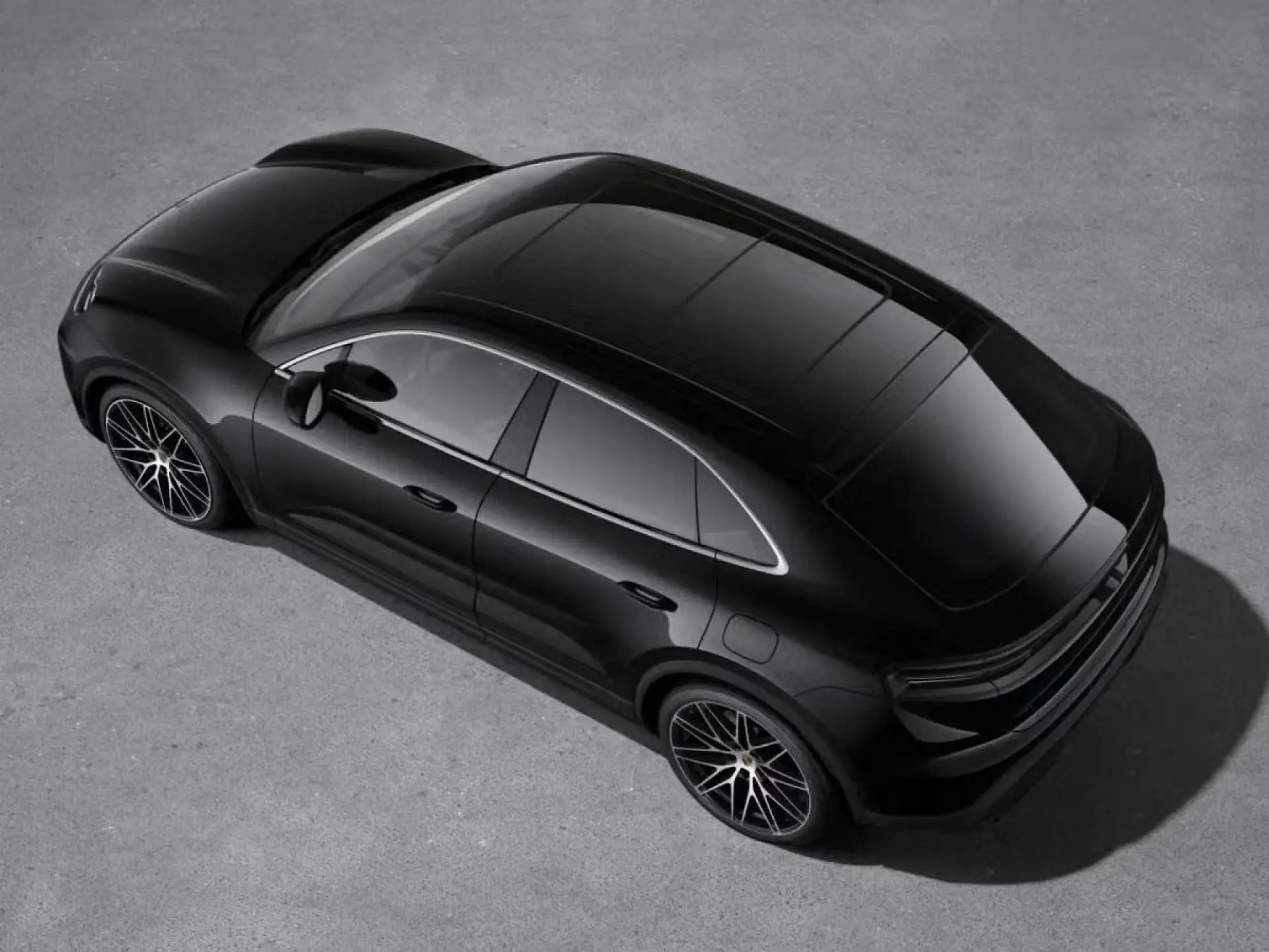 Macan 
