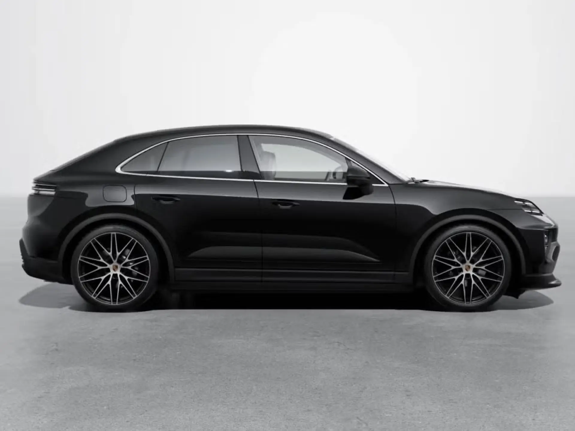Macan 