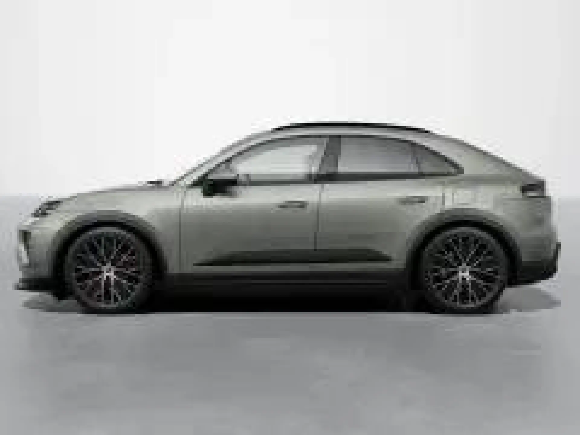 Macan 