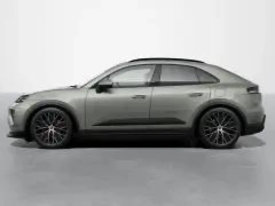 Macan