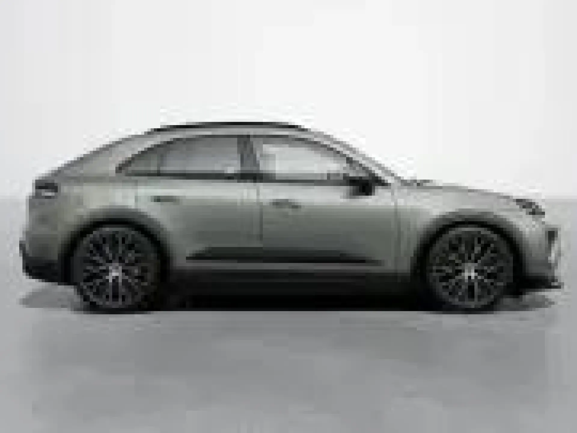 Macan 