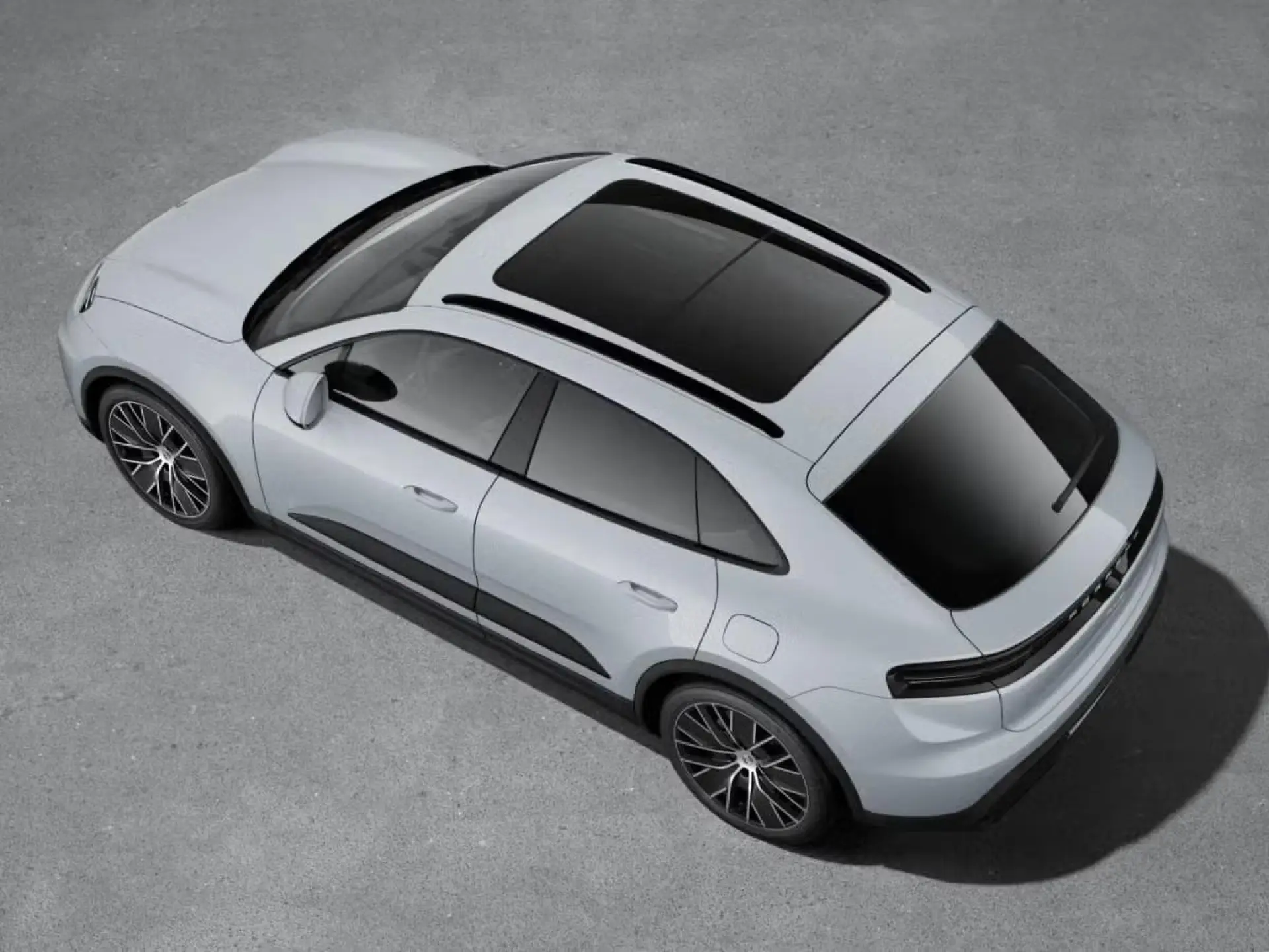 Macan 