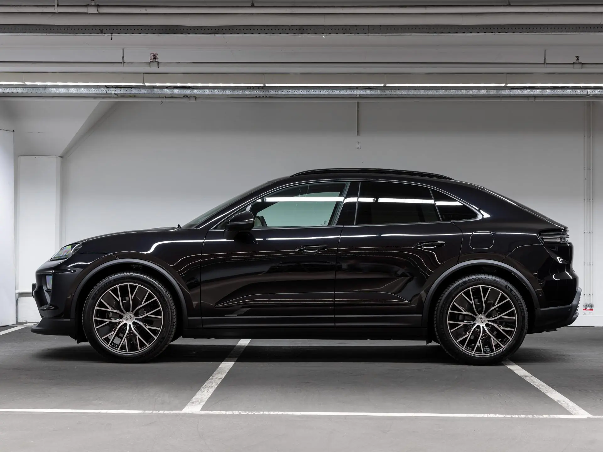 Macan 4