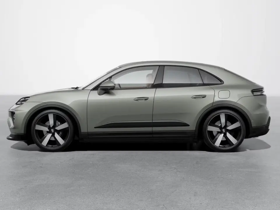 Macan 