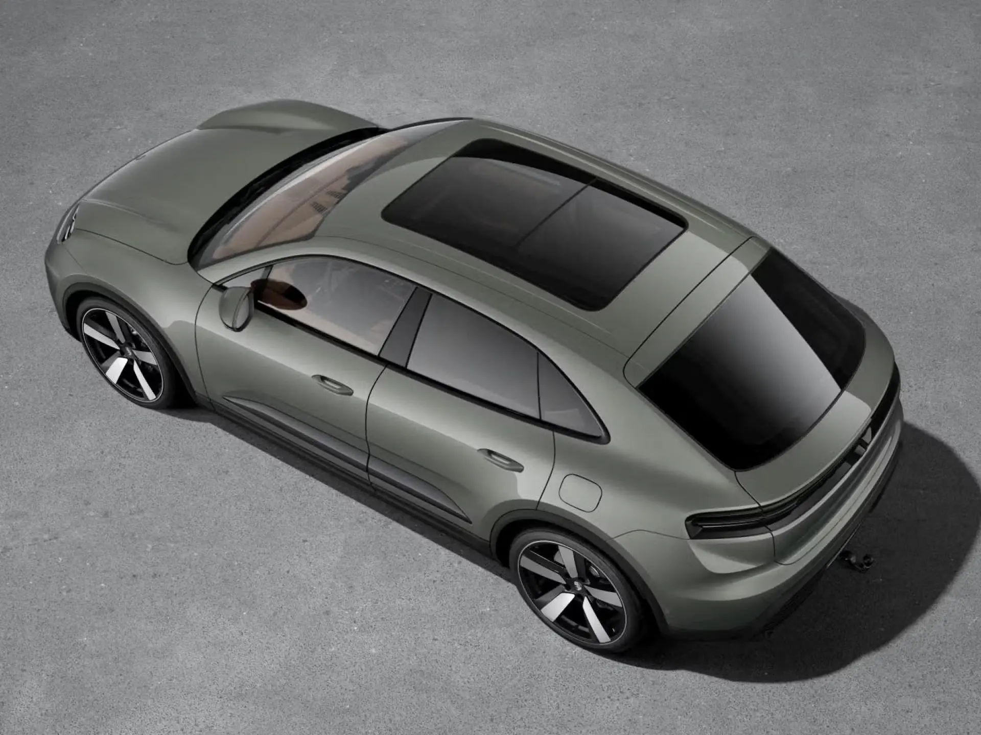 Macan 