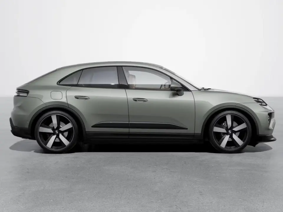 Macan 