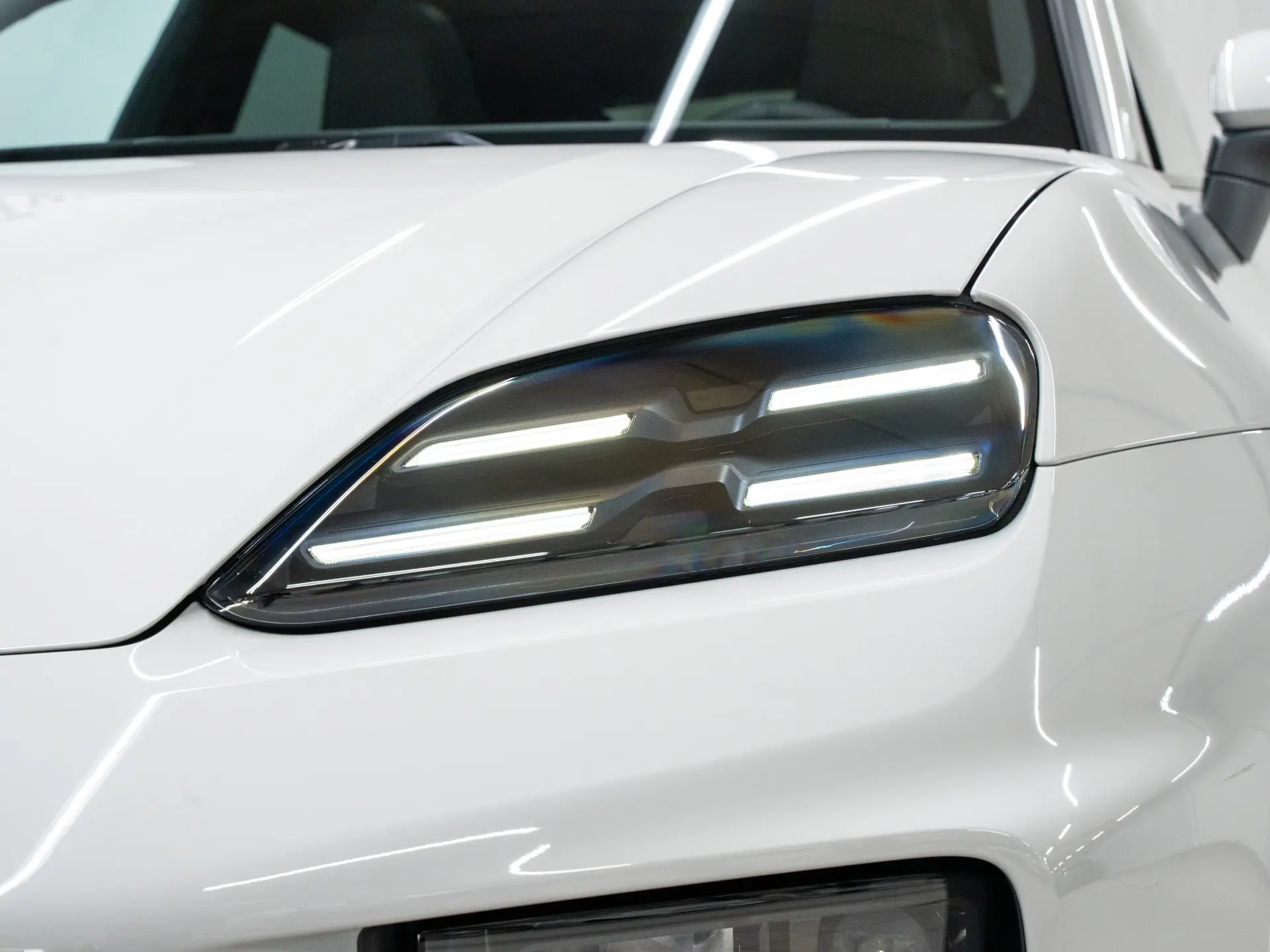Macan 