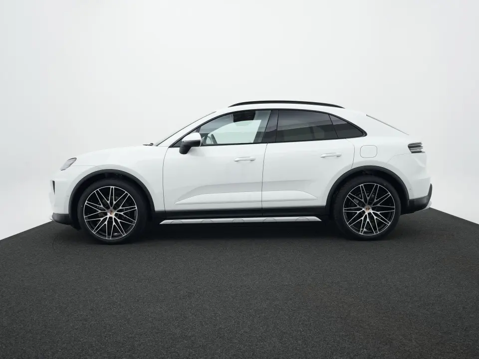Macan 