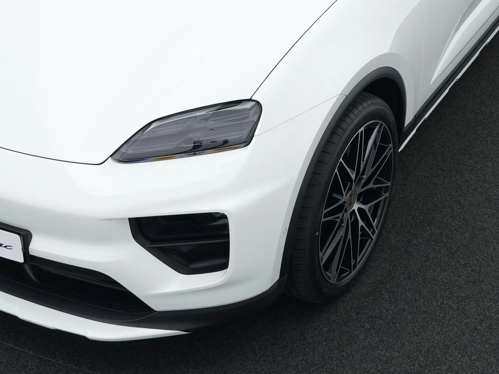 Macan 