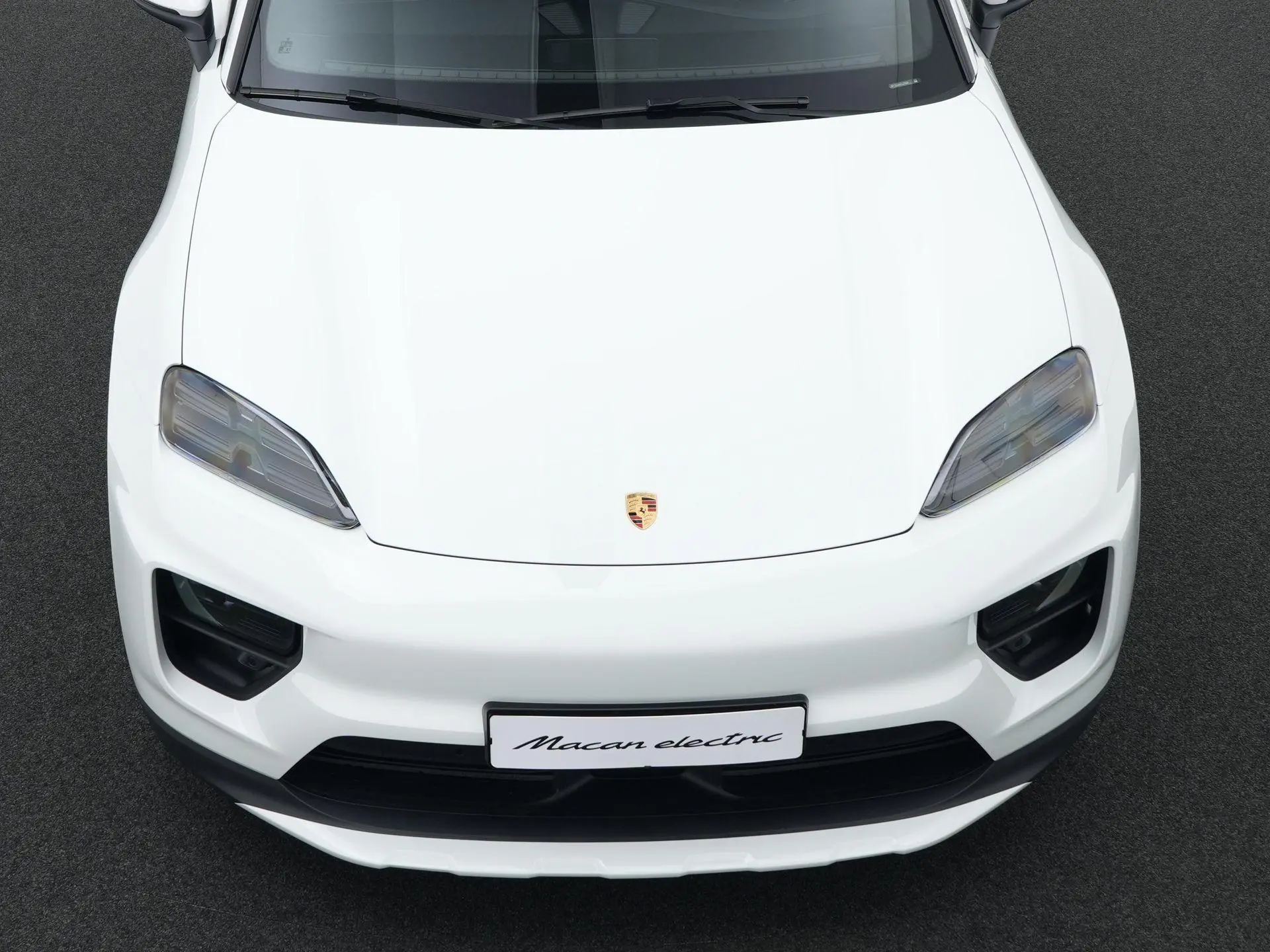 Macan 