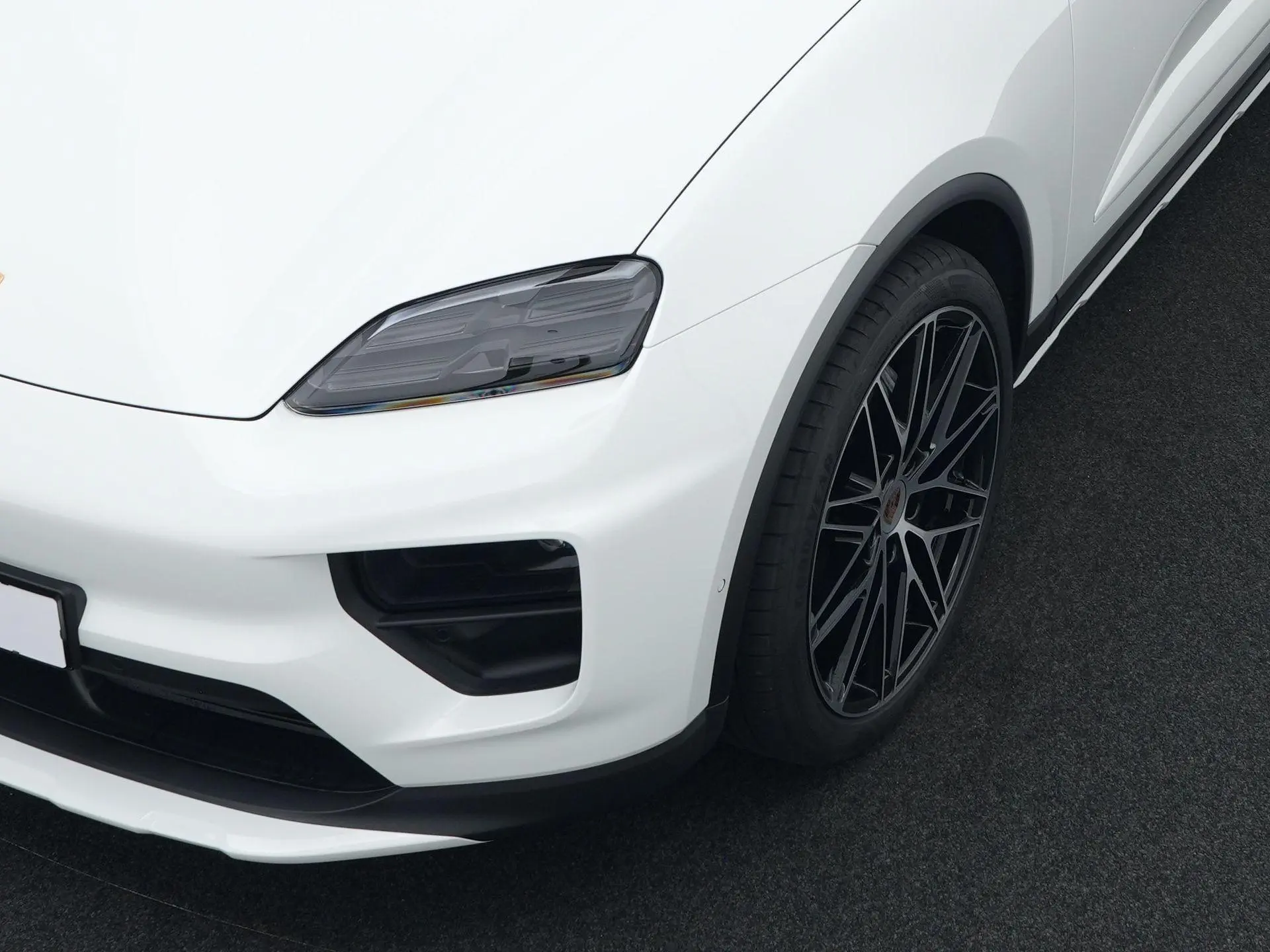 Macan 
