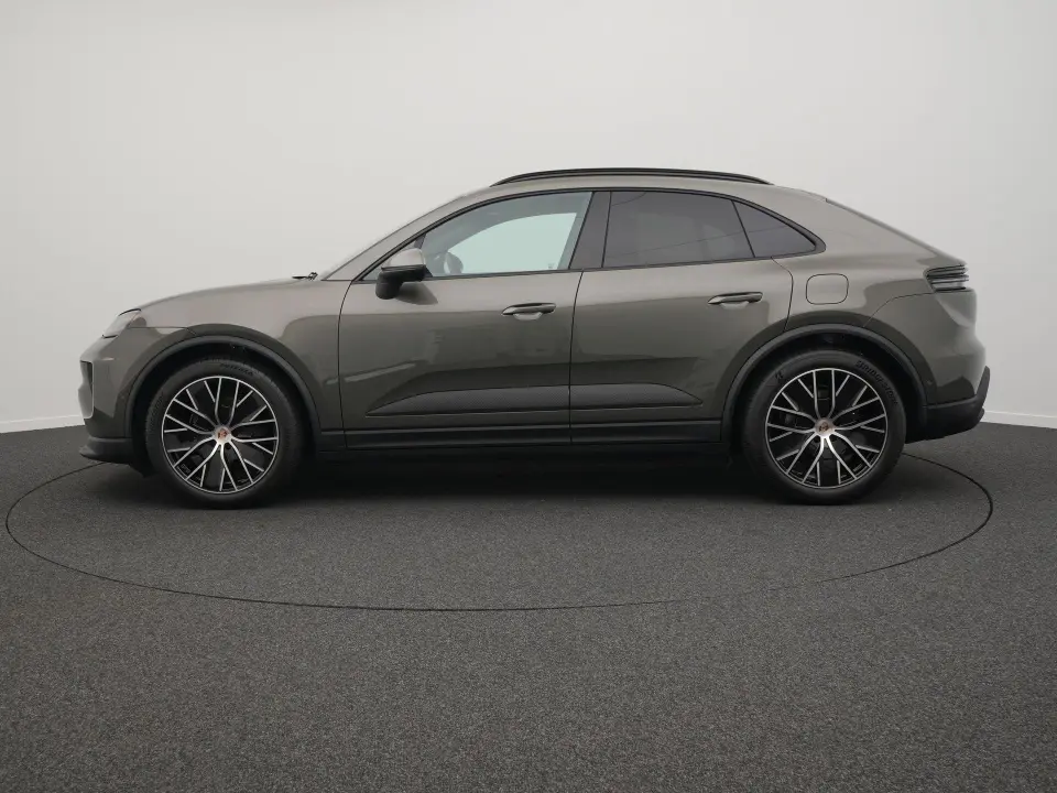 Macan 