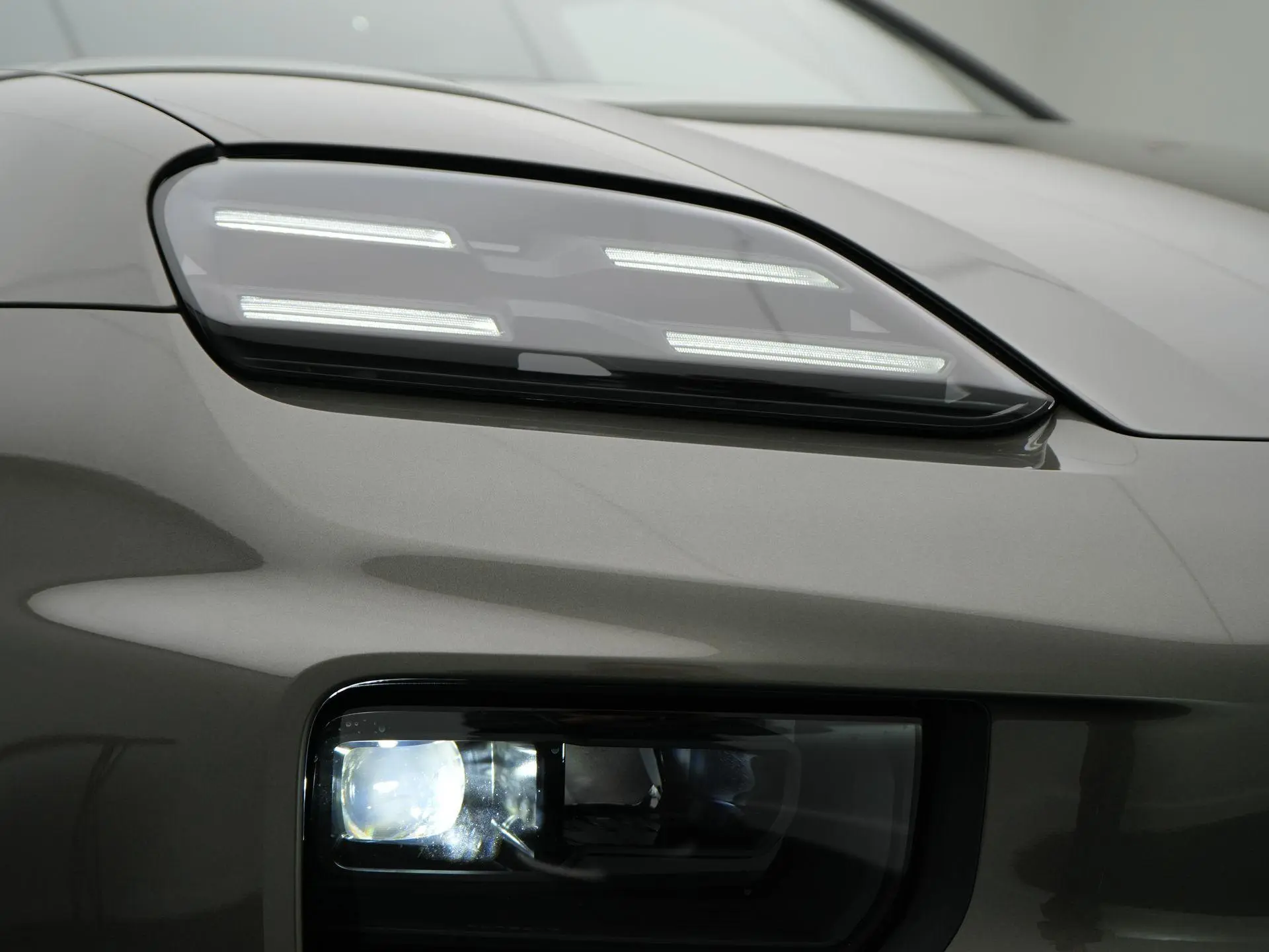 Macan 