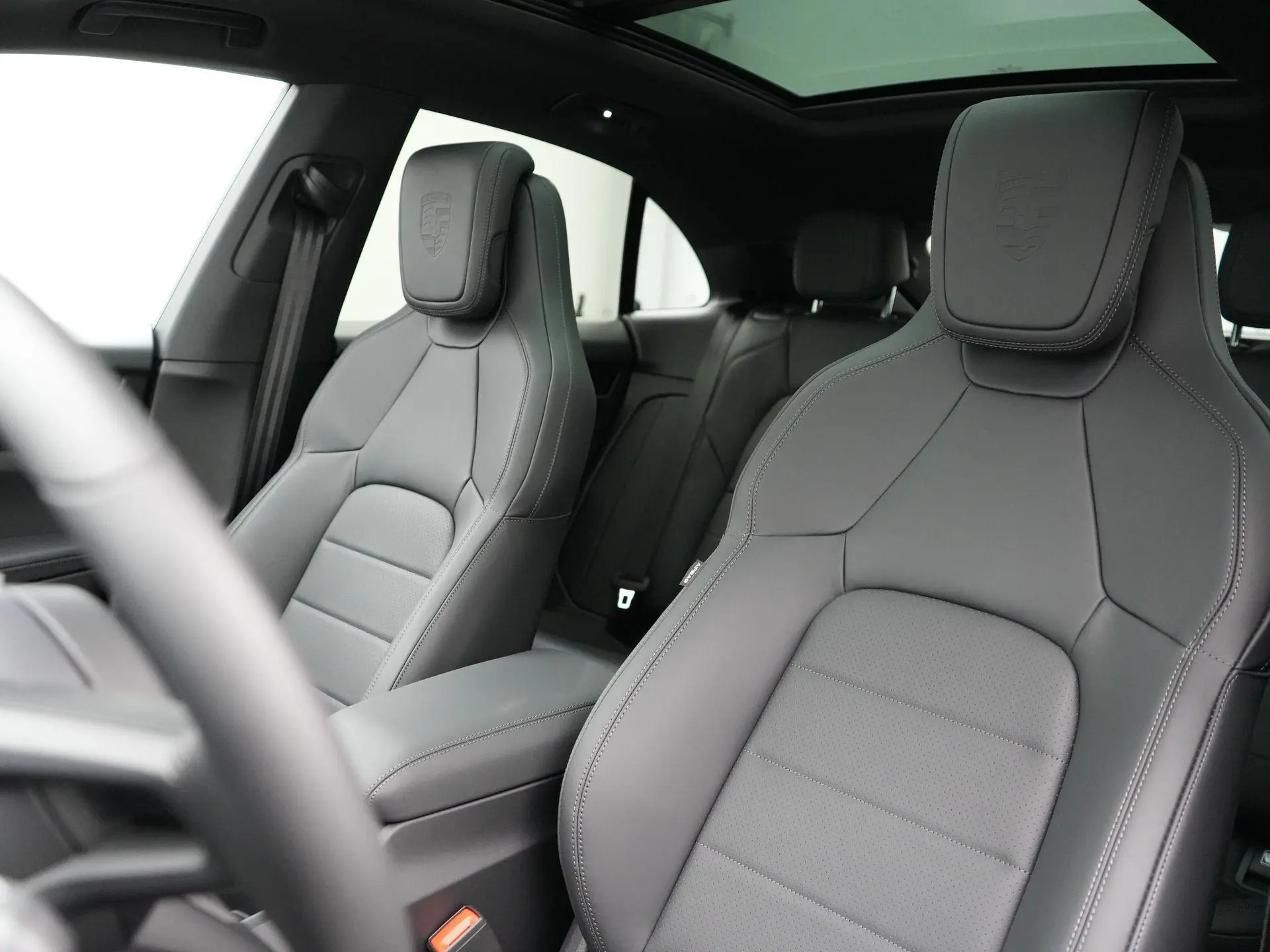 Macan 