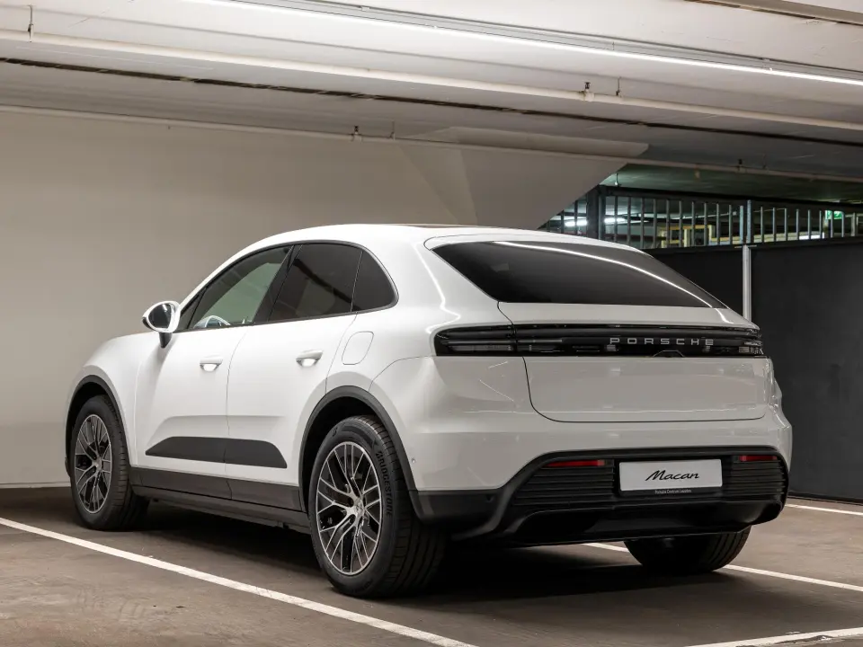 Macan 