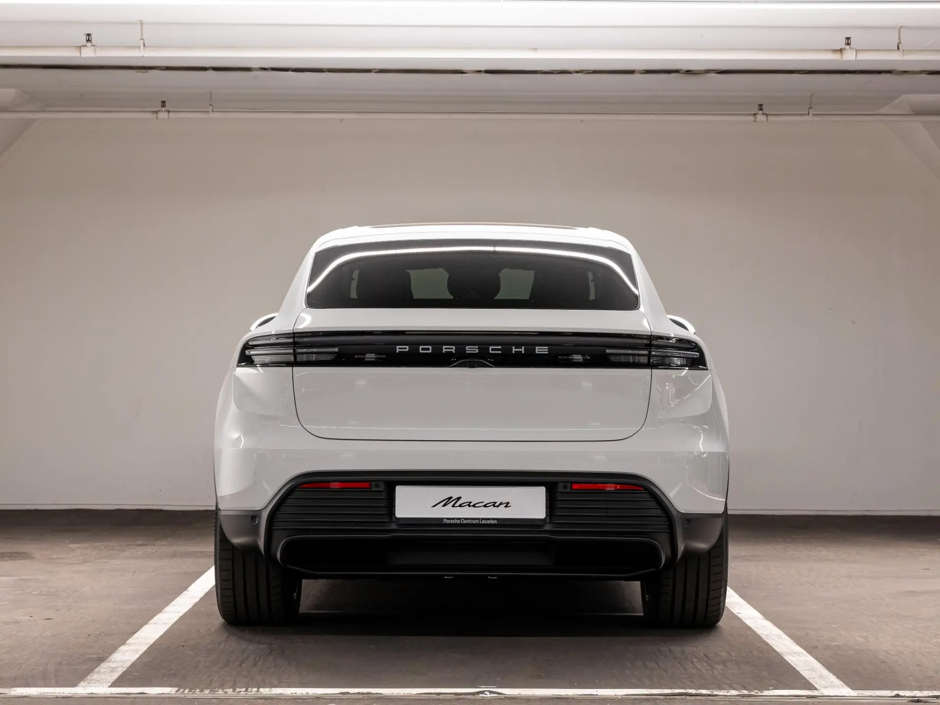 Macan 