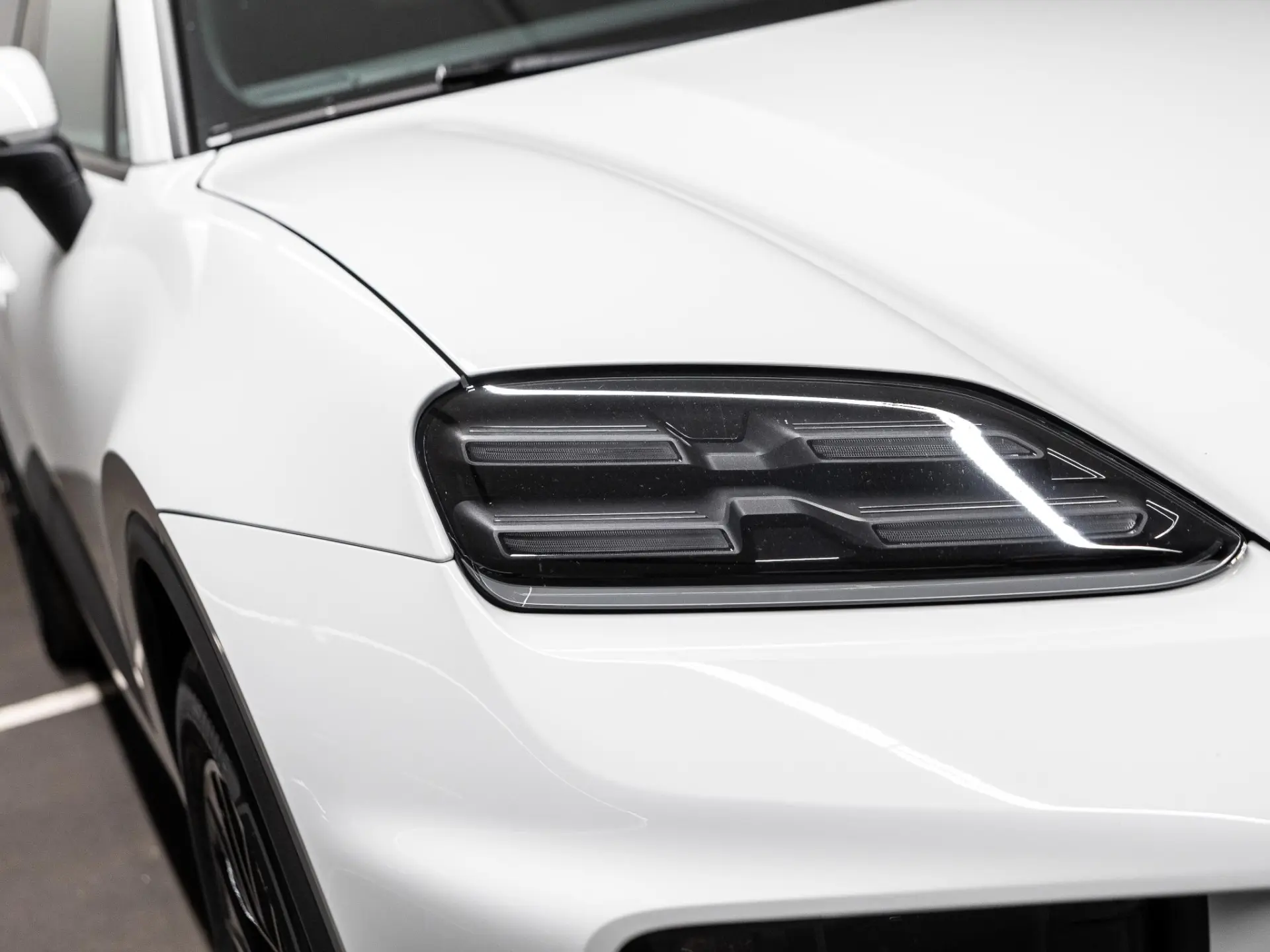 Macan 