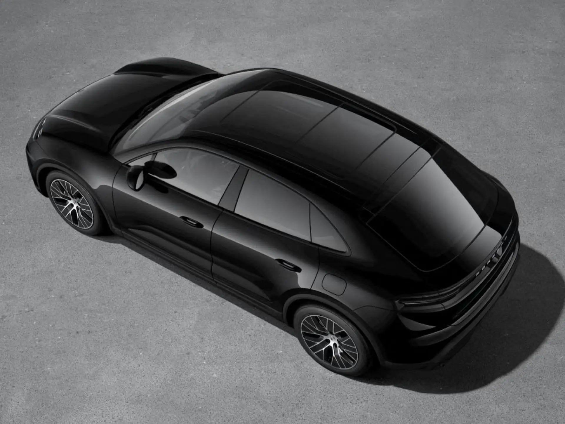 Macan 