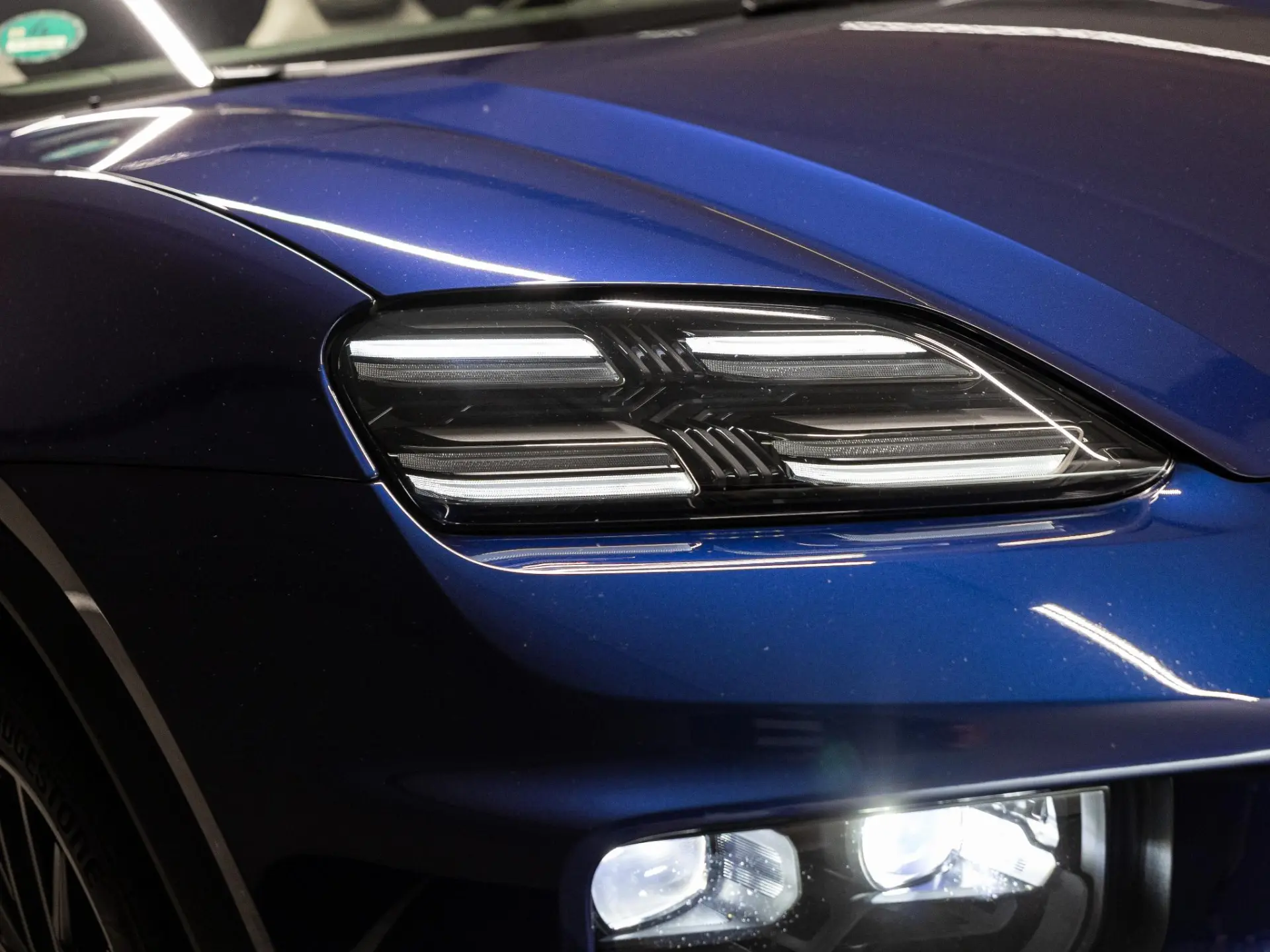 Macan 