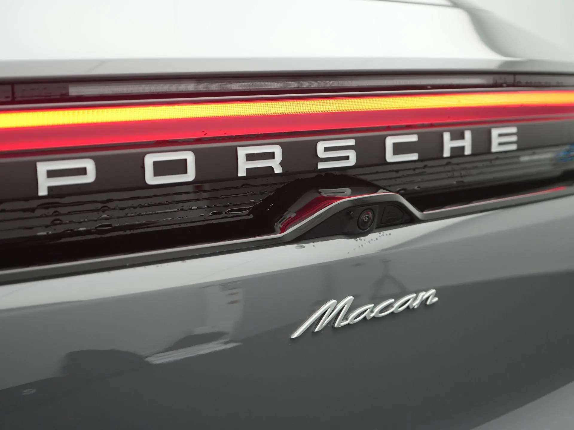 Macan 