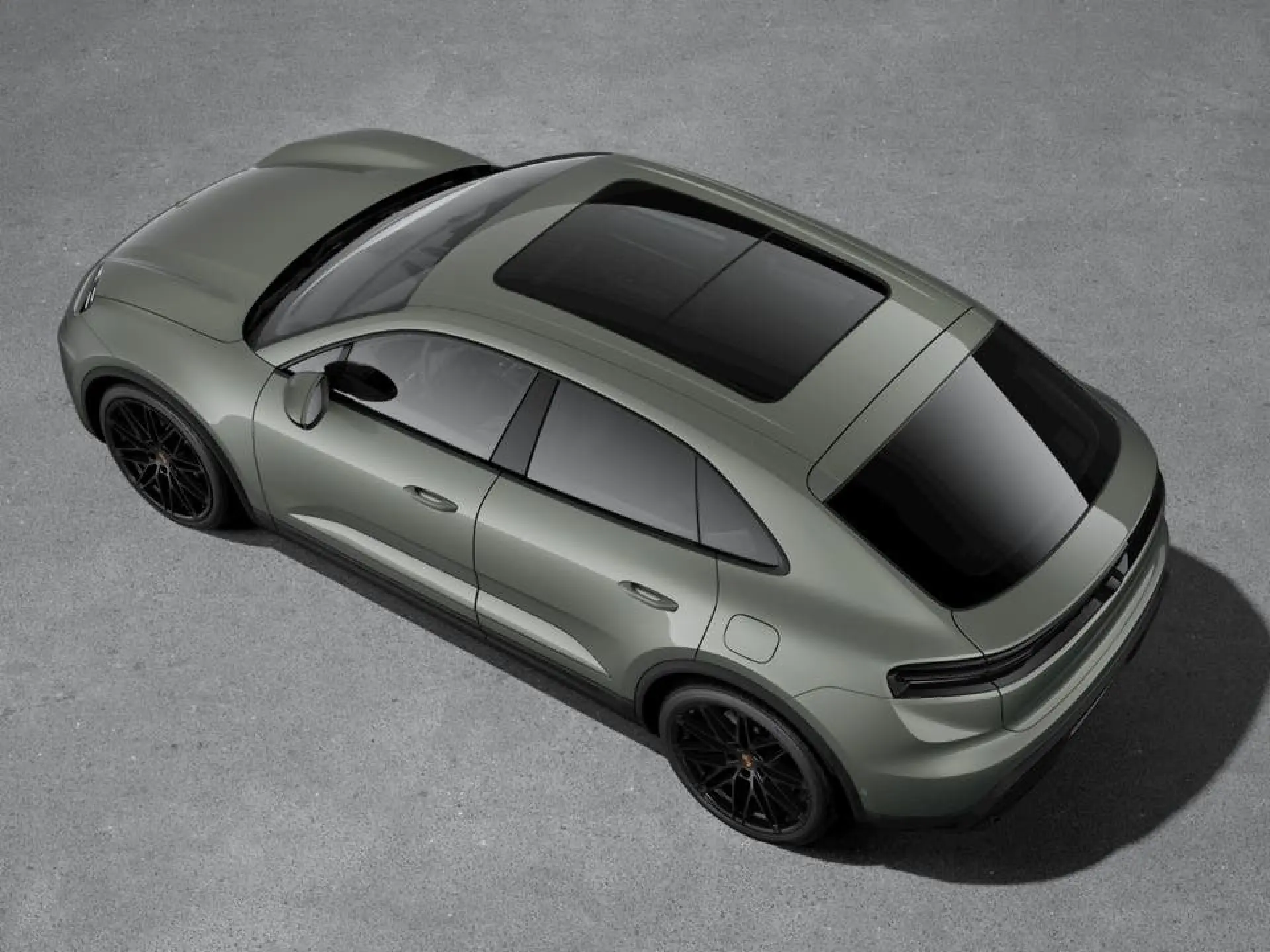 Macan 4