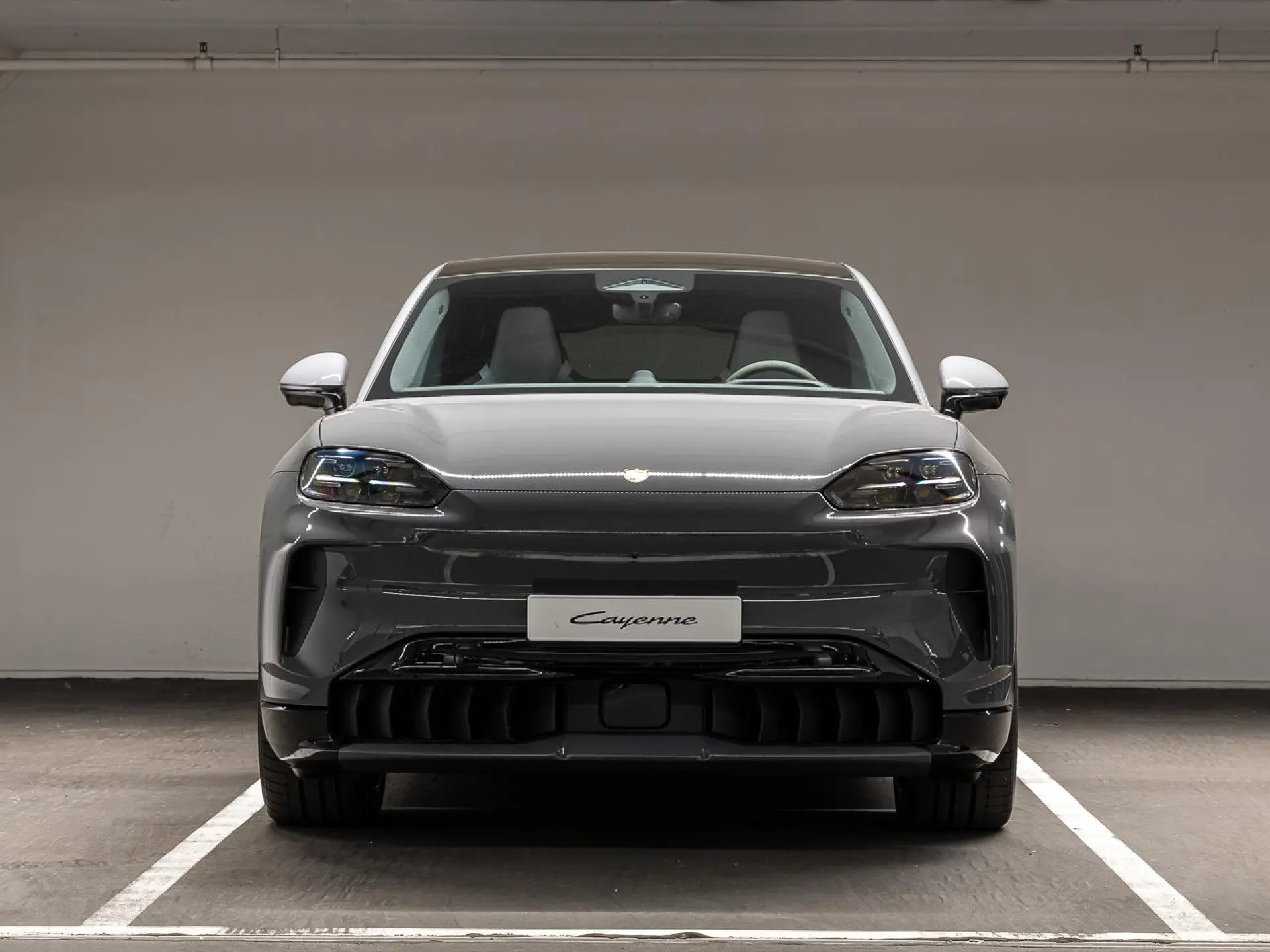 Cayenne Electric S 113 kWh