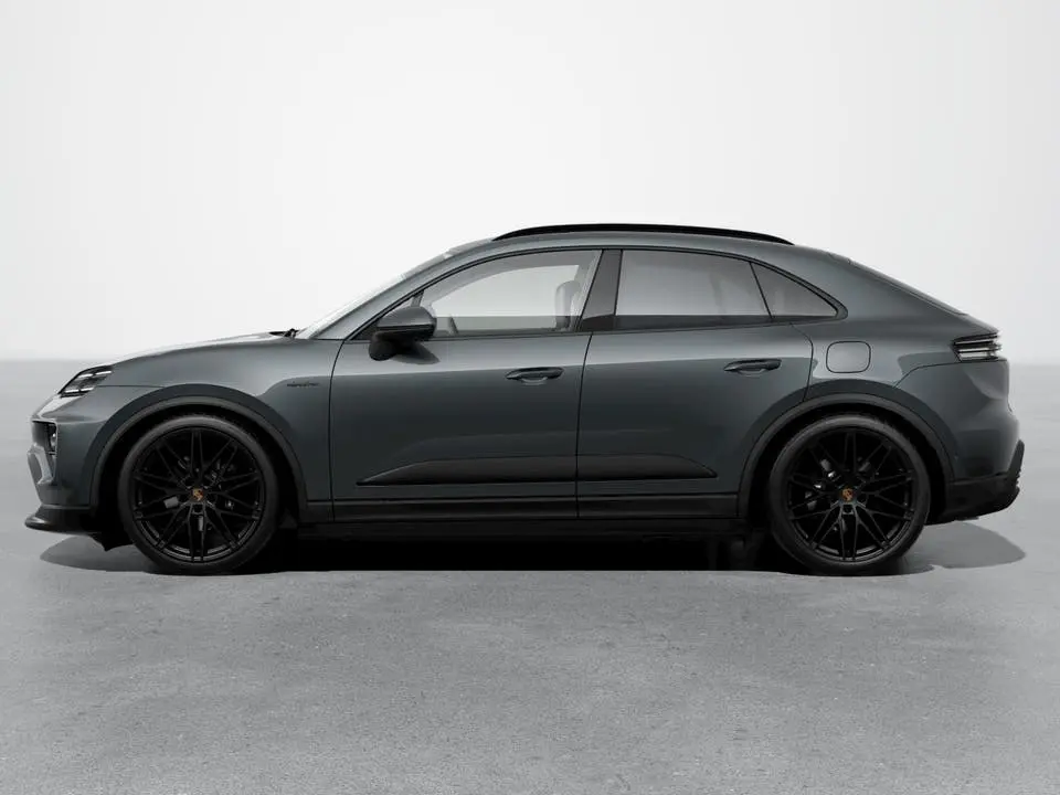 Macan 