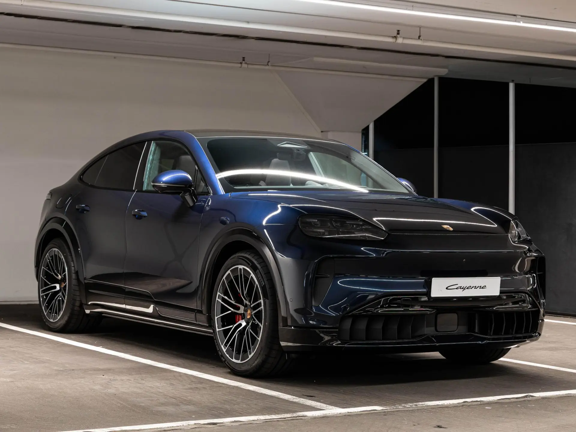 Cayenne Electric S 113 kWh