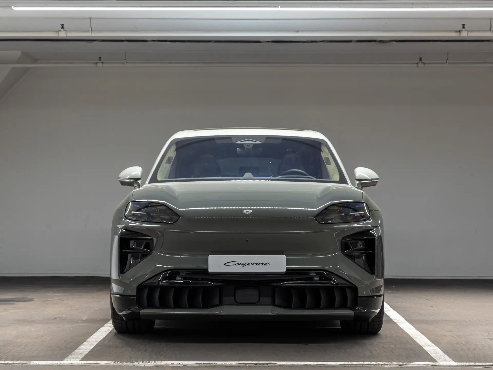 Cayenne Electric Turbo