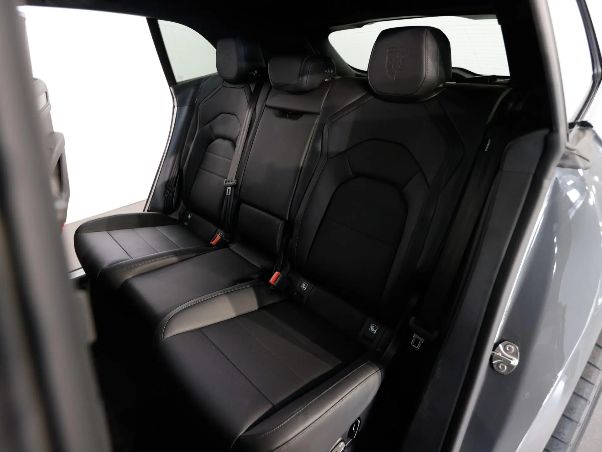 Cayenne Electric S