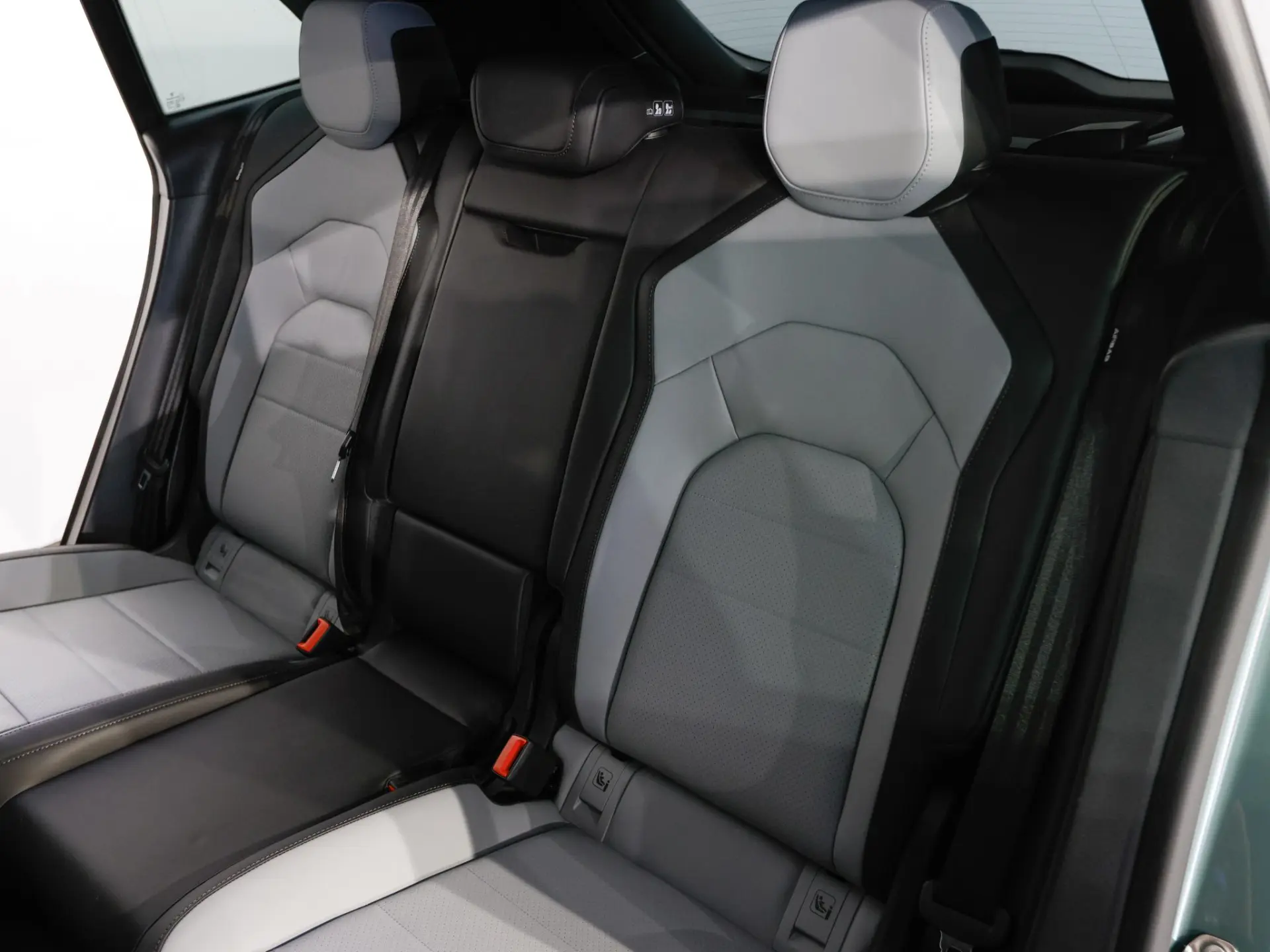Cayenne Electric 113 kWh