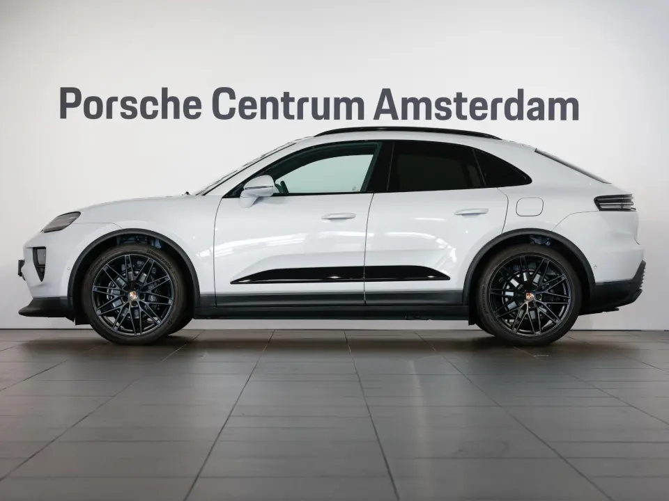 Macan 