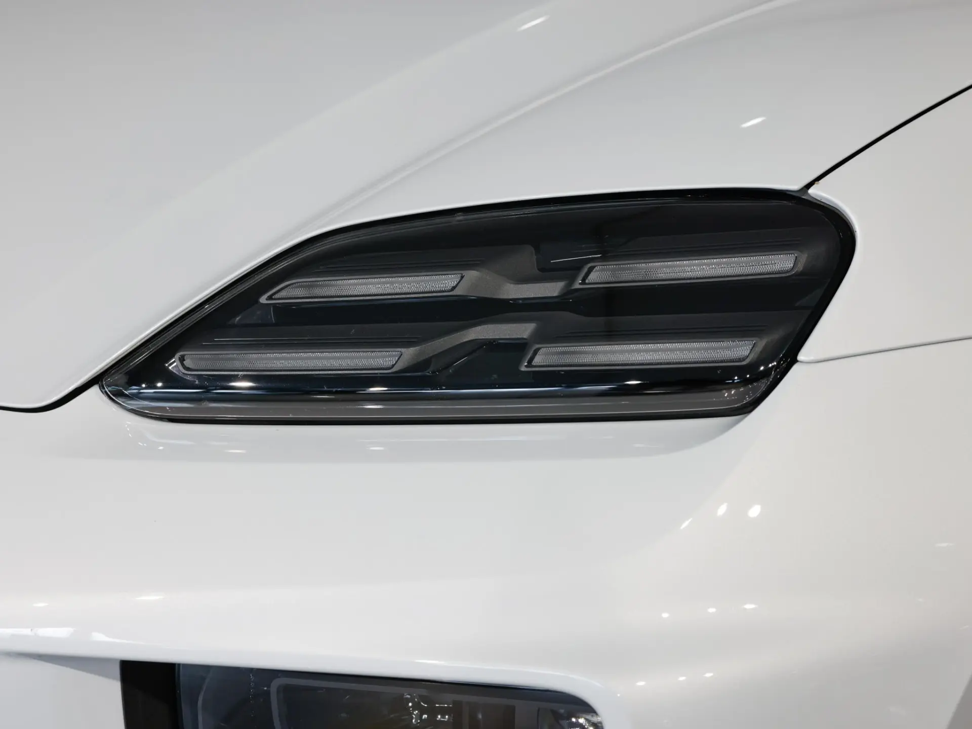 Macan 